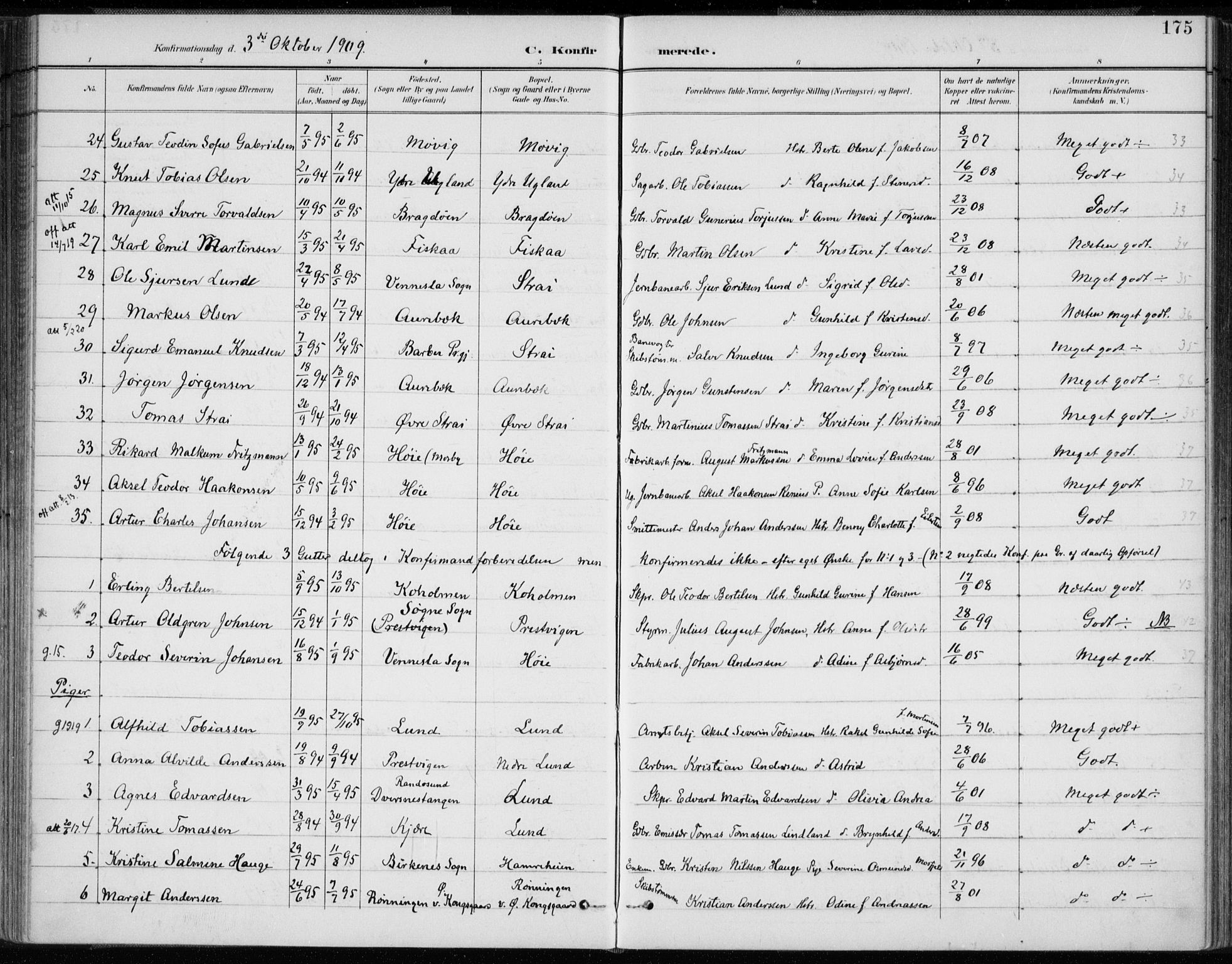 Oddernes sokneprestkontor, AV/SAK-1111-0033/F/Fa/Faa/L0010: Ministerialbok nr. A 10, 1897-1911, s. 175