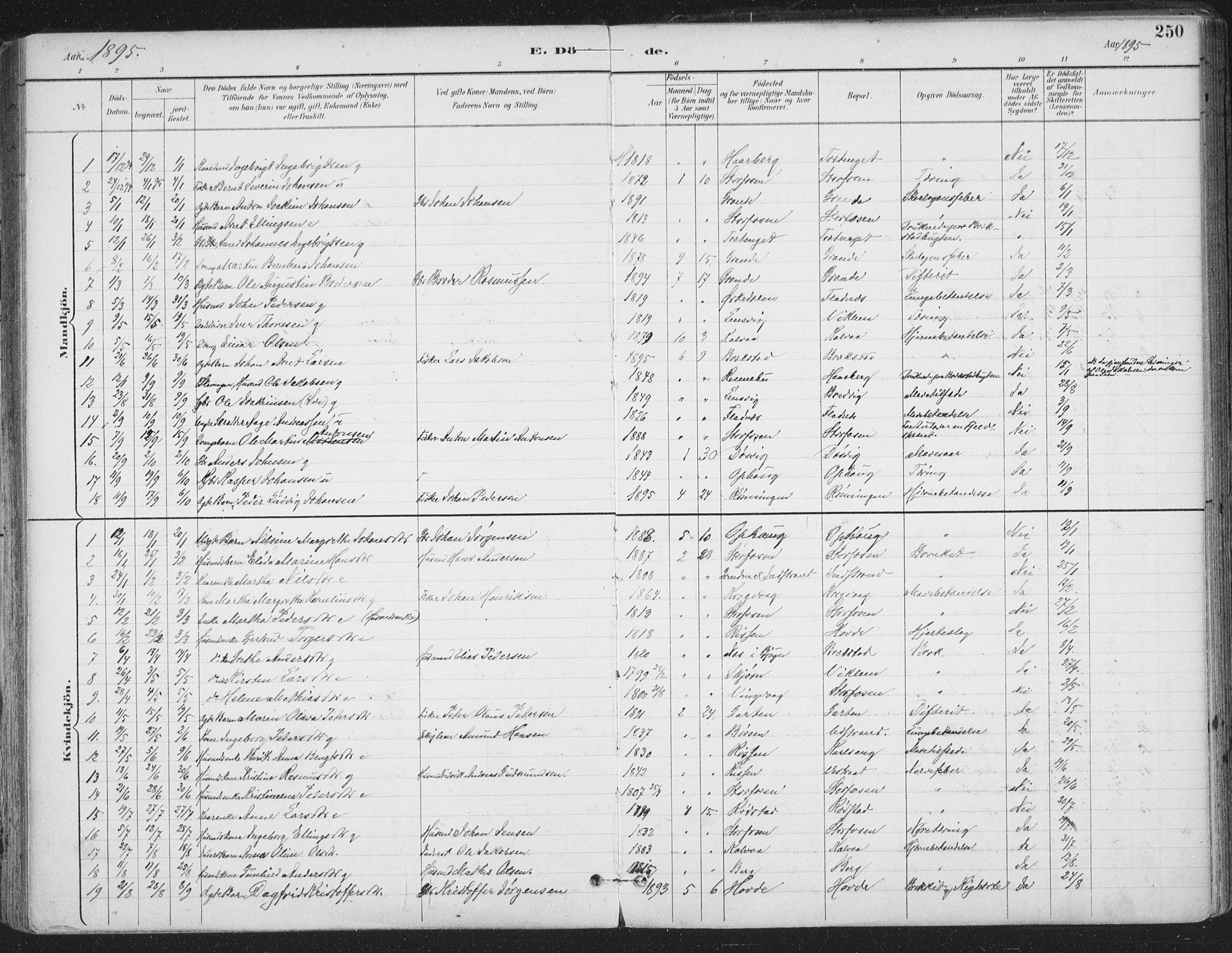 Ministerialprotokoller, klokkerbøker og fødselsregistre - Sør-Trøndelag, SAT/A-1456/659/L0743: Ministerialbok nr. 659A13, 1893-1910, s. 250