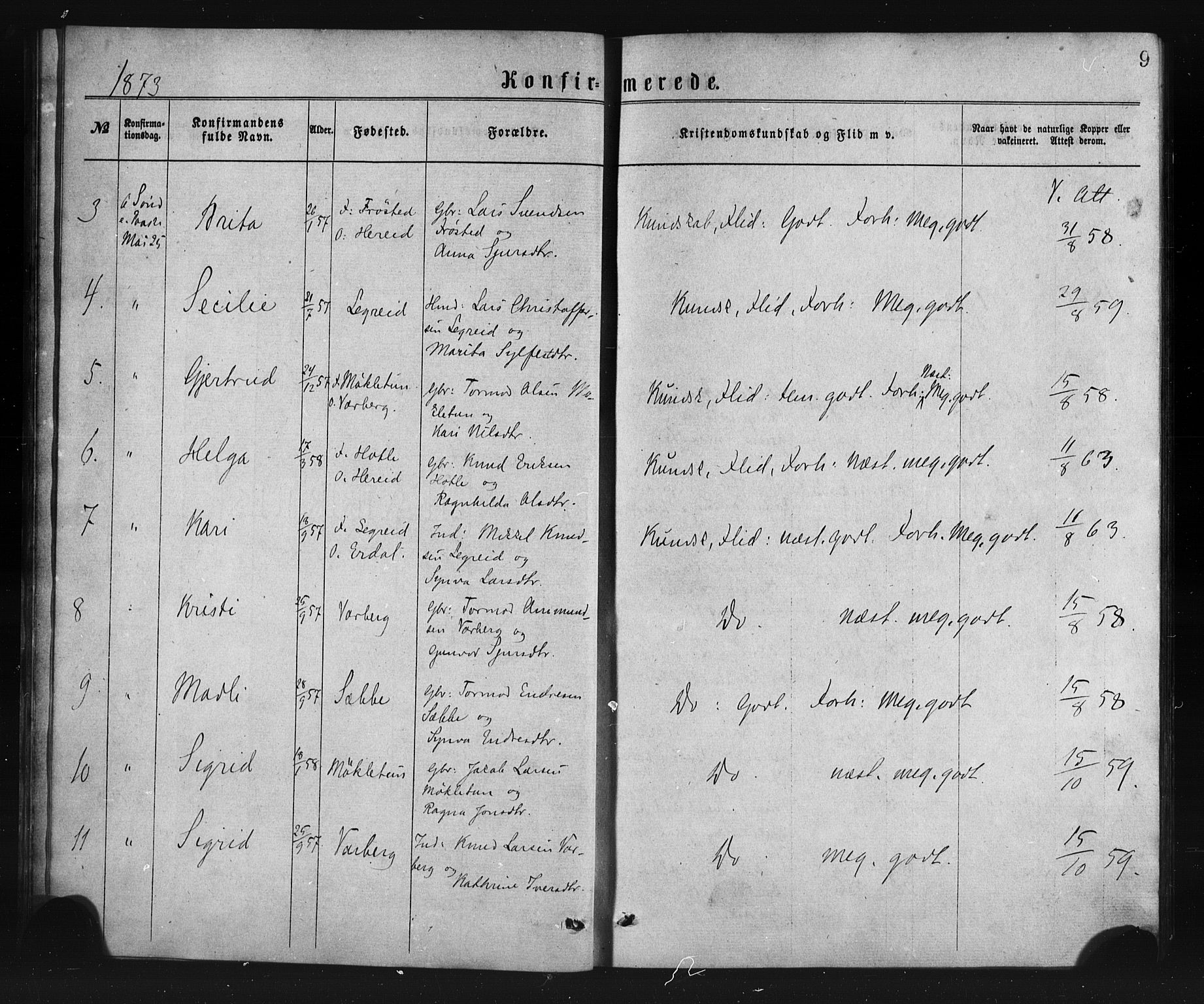 Ulvik sokneprestembete, AV/SAB-A-78801/H/Haa: Ministerialbok nr. A 17, 1873-1891, s. 9
