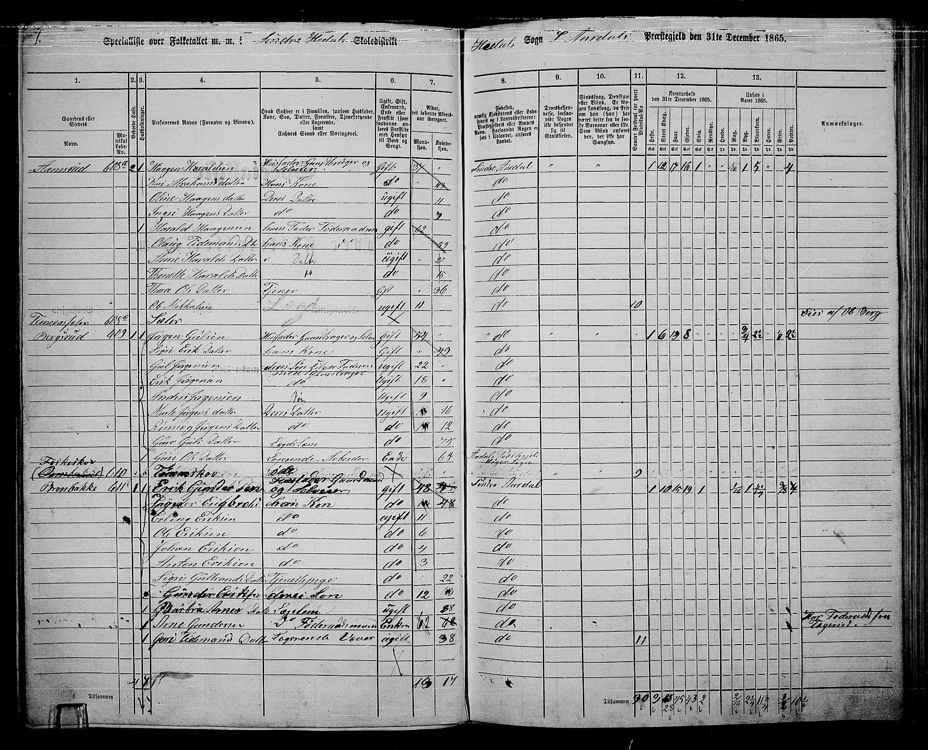 RA, Folketelling 1865 for 0540P Sør-Aurdal prestegjeld, 1865, s. 168