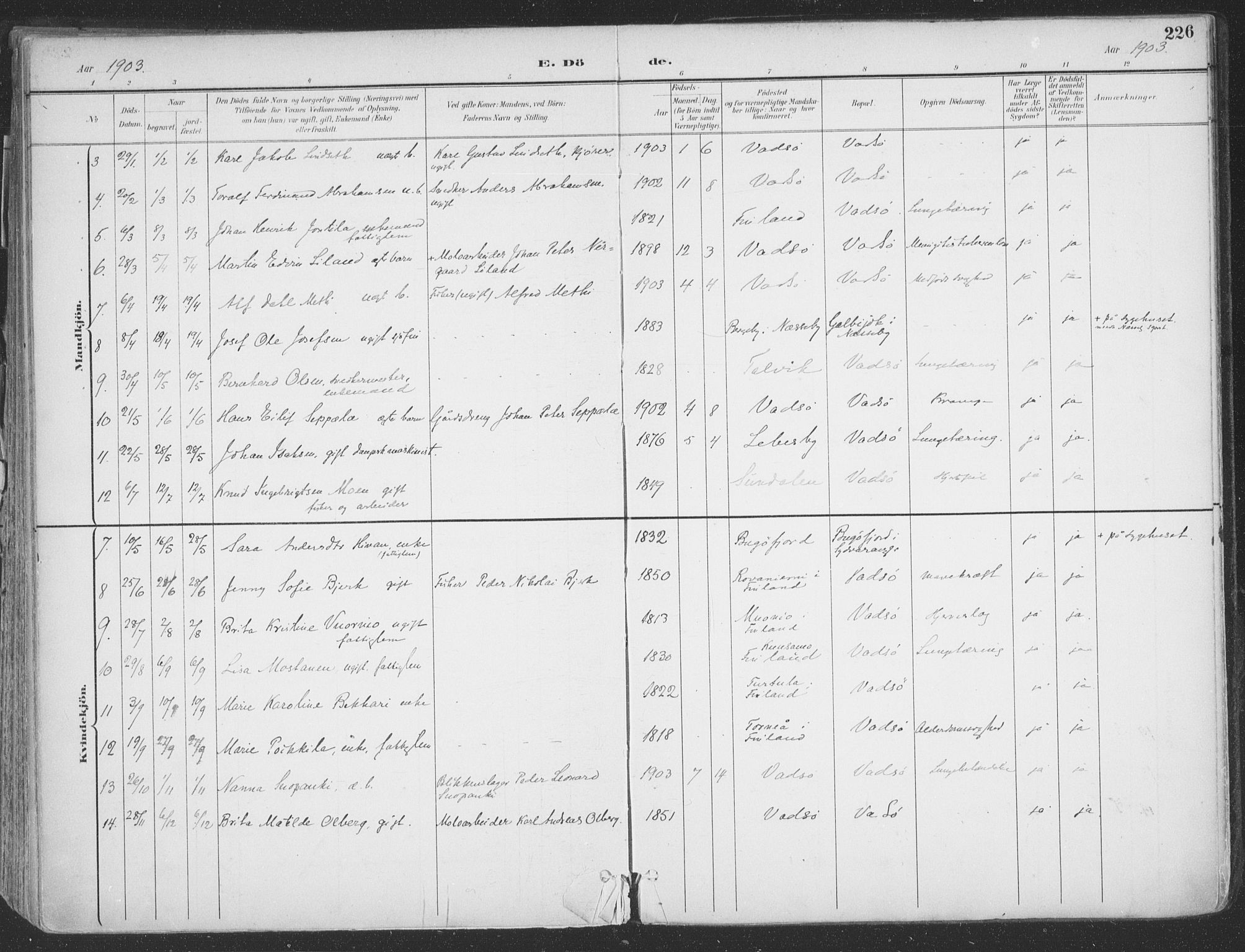 Vadsø sokneprestkontor, AV/SATØ-S-1325/H/Ha/L0007kirke: Ministerialbok nr. 7, 1896-1916, s. 226