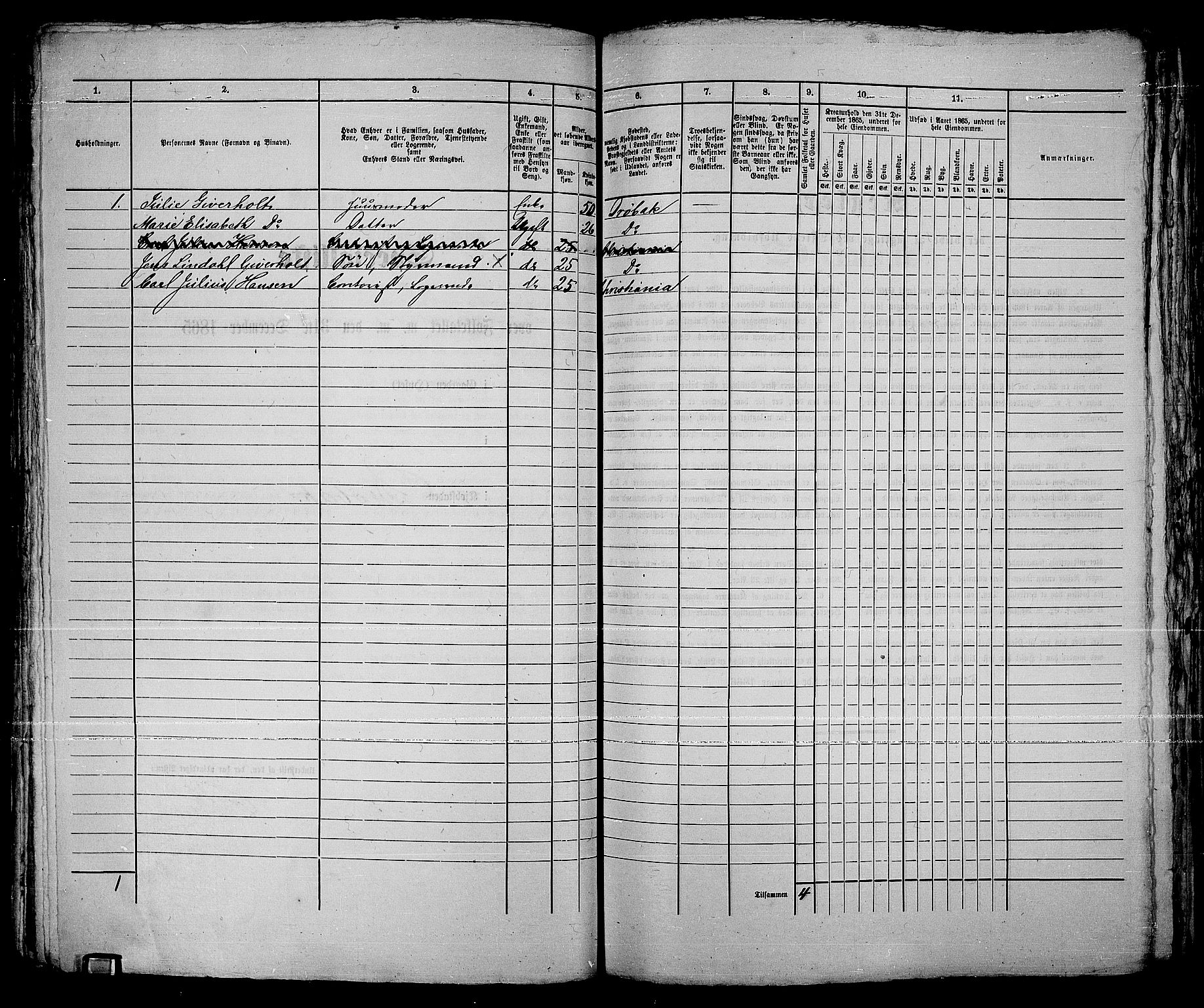 RA, Folketelling 1865 for 0203B Drøbak prestegjeld, Drøbak kjøpstad, 1865, s. 233