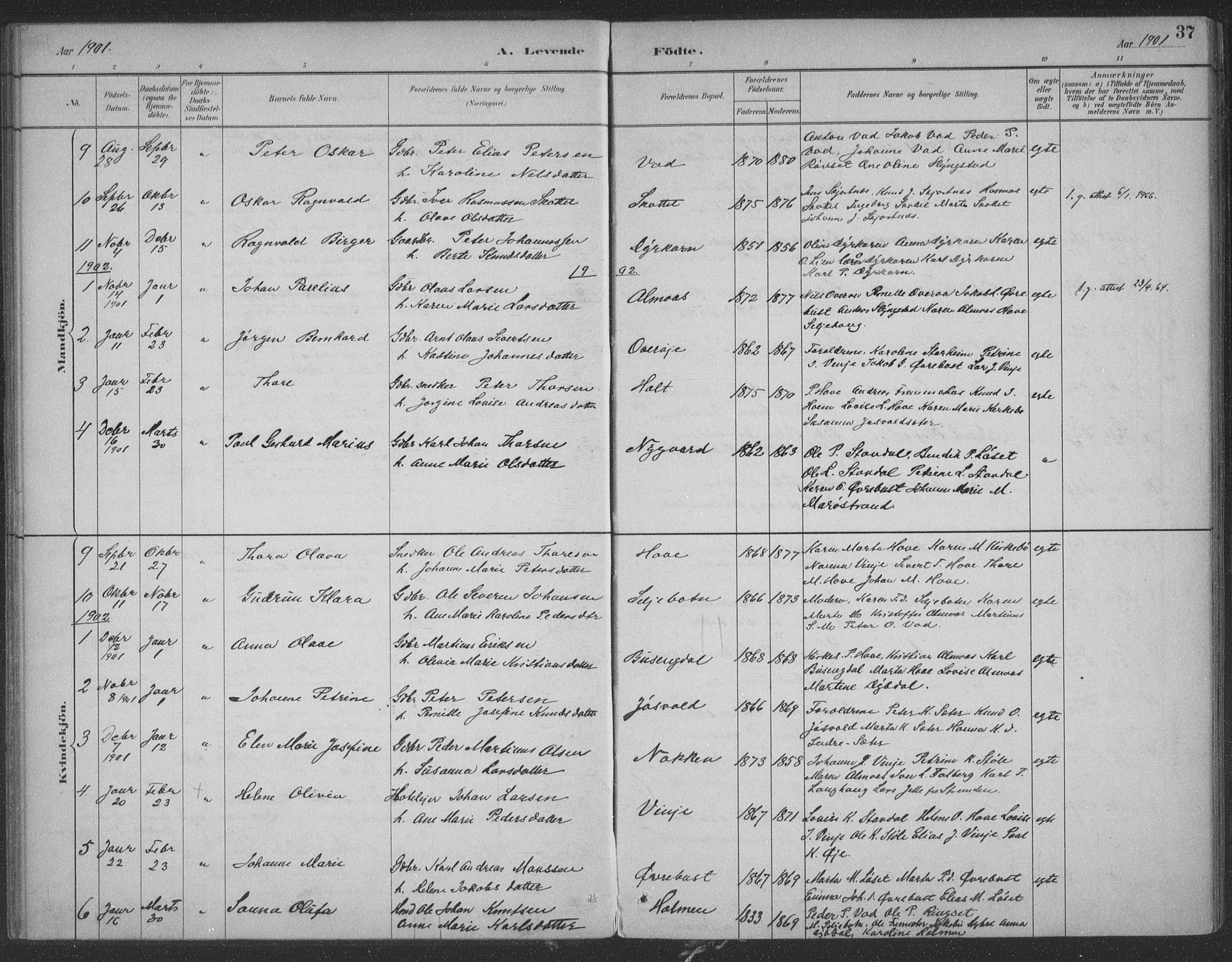 Ministerialprotokoller, klokkerbøker og fødselsregistre - Møre og Romsdal, SAT/A-1454/521/L0299: Ministerialbok nr. 521A01, 1882-1907, s. 37