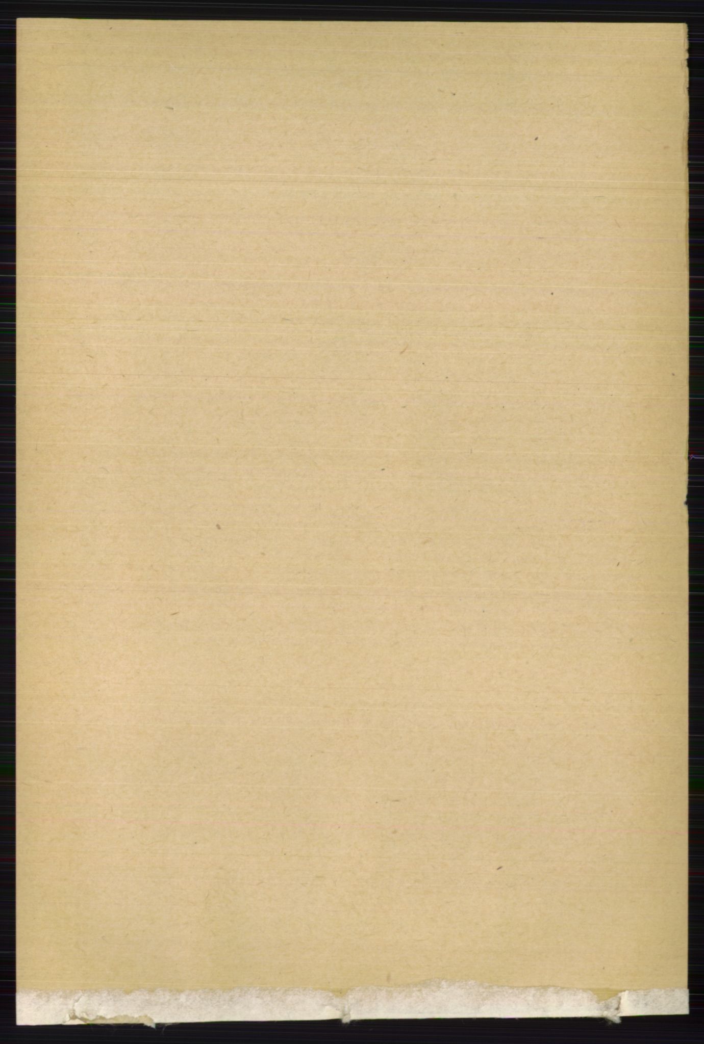 RA, Folketelling 1891 for 0720 Stokke herred, 1891, s. 2440