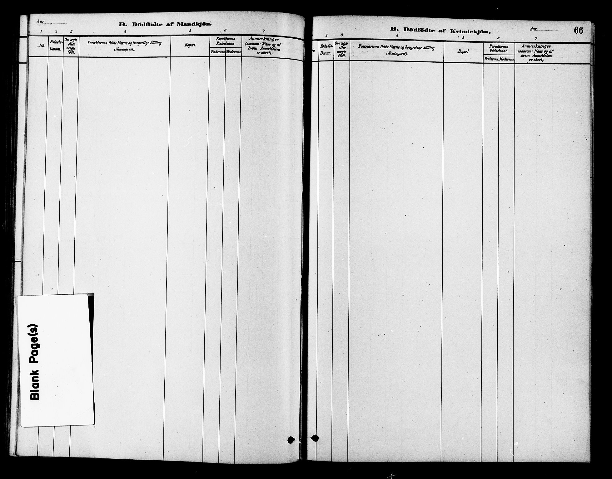 Flesberg kirkebøker, SAKO/A-18/F/Fb/L0001: Ministerialbok nr. II 1, 1879-1907, s. 66