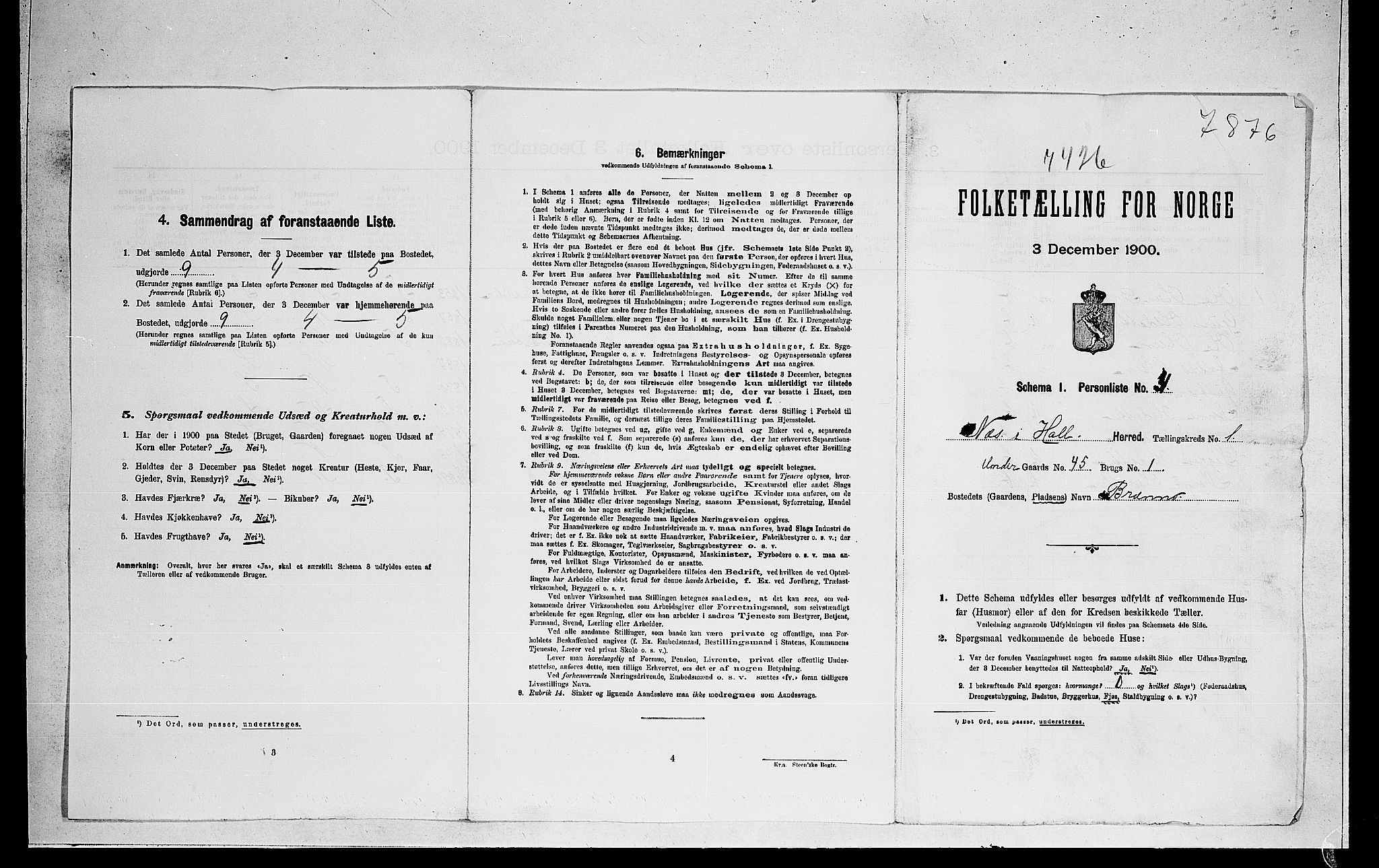 RA, Folketelling 1900 for 0616 Nes herred, 1900, s. 36
