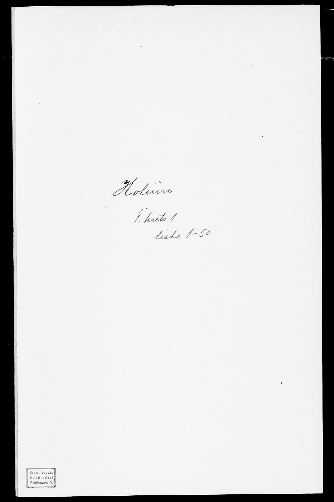 SAK, Folketelling 1875 for 1020P Holum prestegjeld, 1875, s. 45