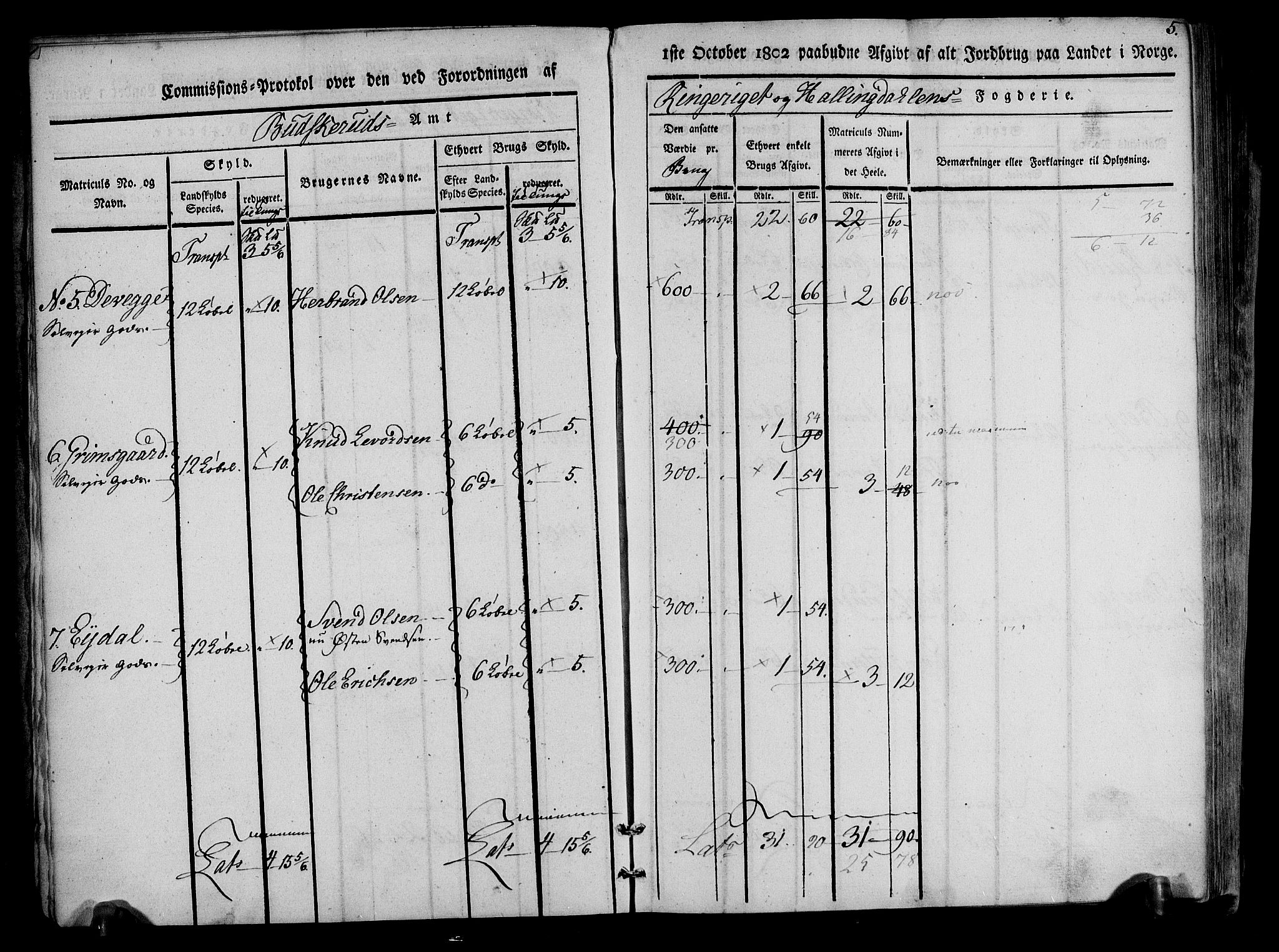 Rentekammeret inntil 1814, Realistisk ordnet avdeling, AV/RA-EA-4070/N/Ne/Nea/L0047: Ringerike og Hallingdal fogderi. Kommisjonsprotokoll for Nes prestegjeld, 1803, s. 6