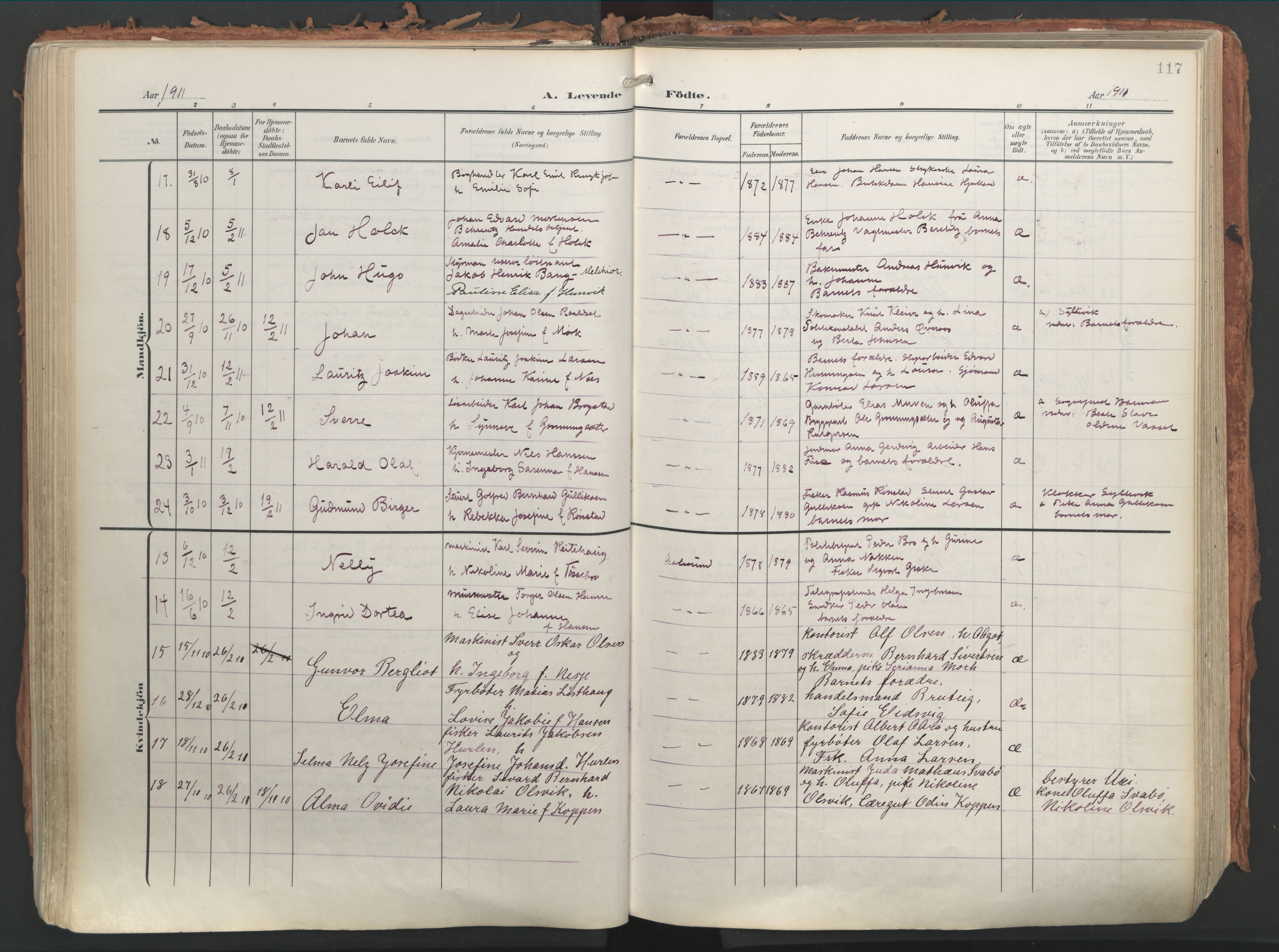 Ministerialprotokoller, klokkerbøker og fødselsregistre - Møre og Romsdal, AV/SAT-A-1454/529/L0460: Ministerialbok nr. 529A10, 1906-1917, s. 117