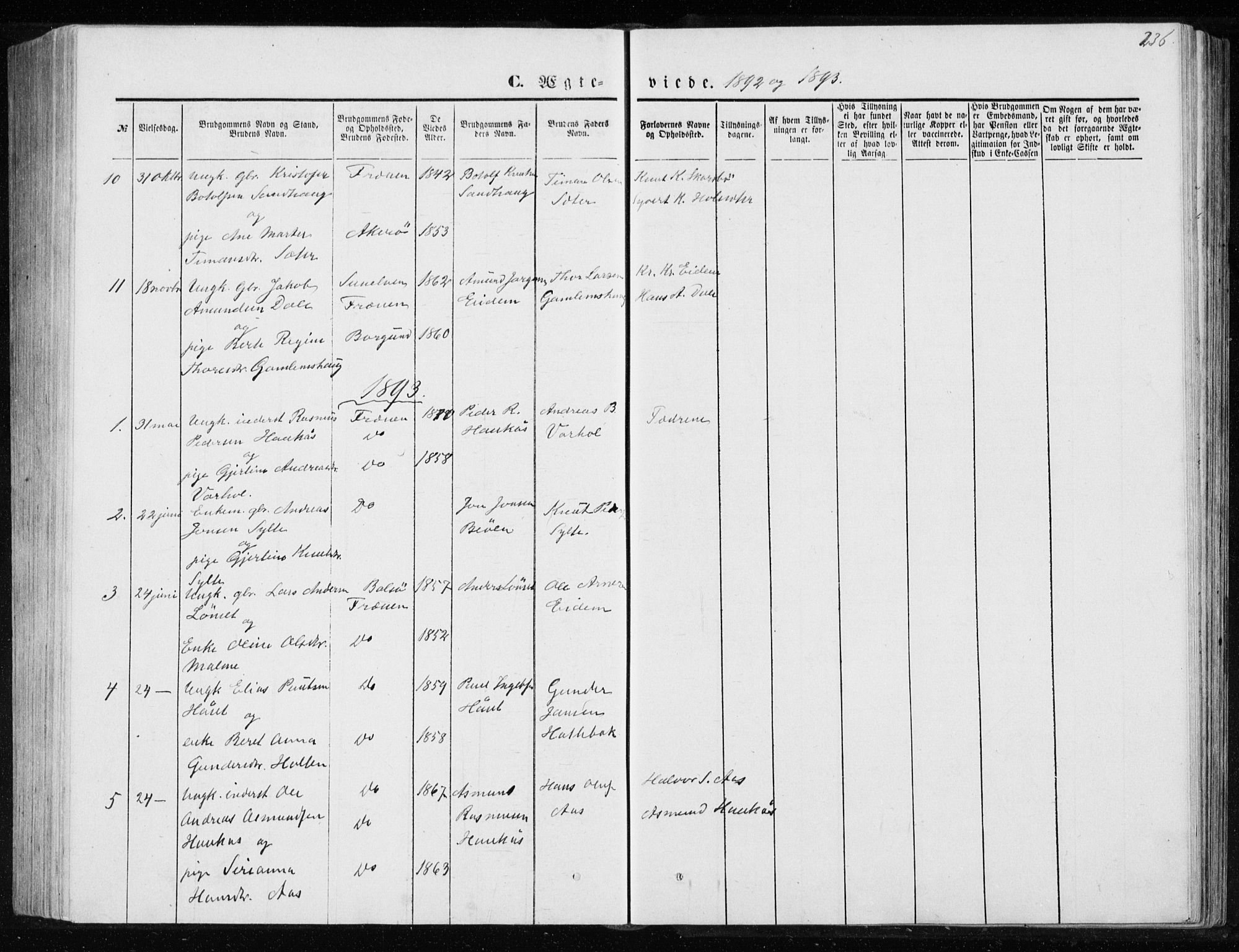 Ministerialprotokoller, klokkerbøker og fødselsregistre - Møre og Romsdal, SAT/A-1454/565/L0754: Klokkerbok nr. 565C03, 1870-1896, s. 236