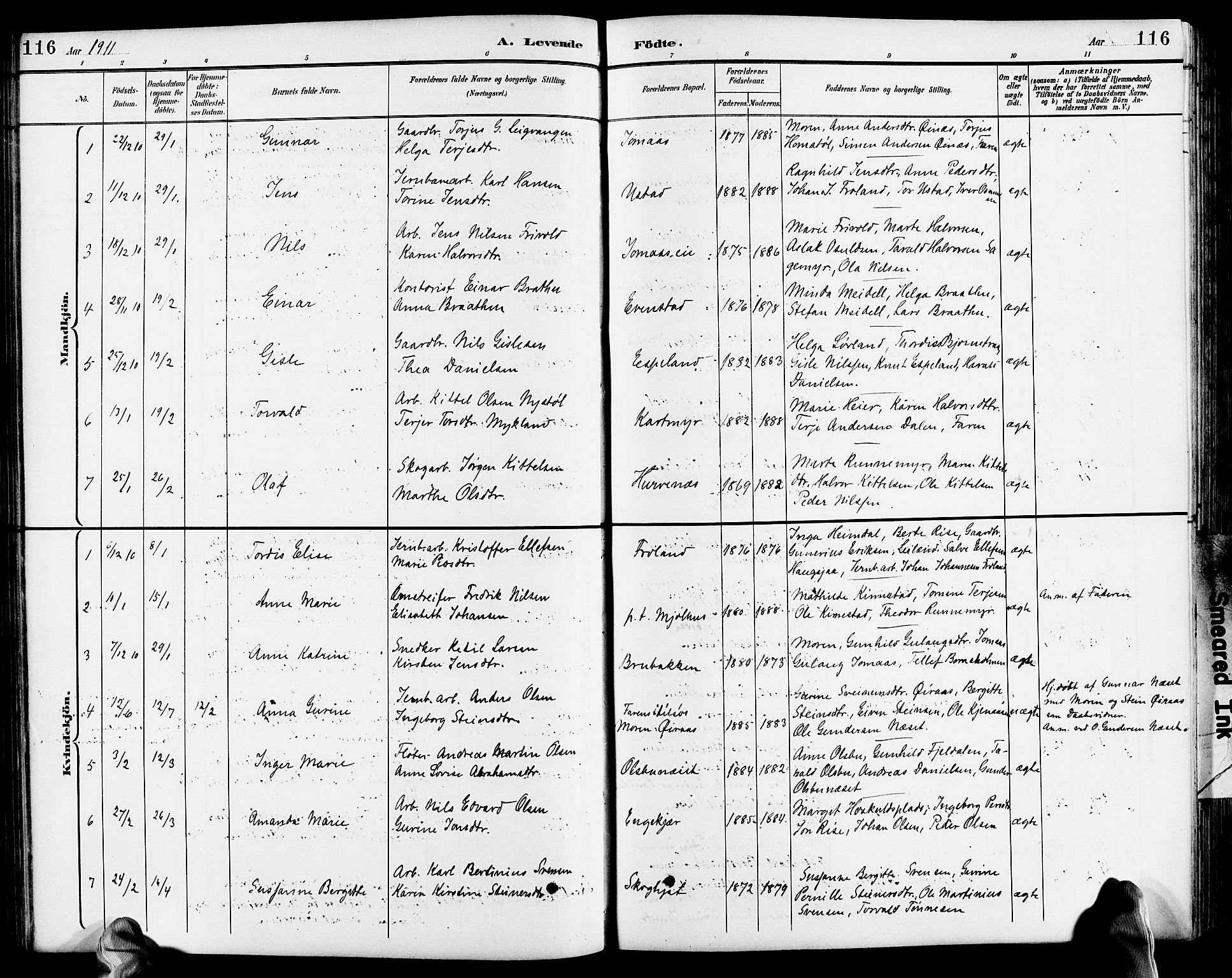 Froland sokneprestkontor, AV/SAK-1111-0013/F/Fb/L0010: Klokkerbok nr. B 10, 1893-1920, s. 116
