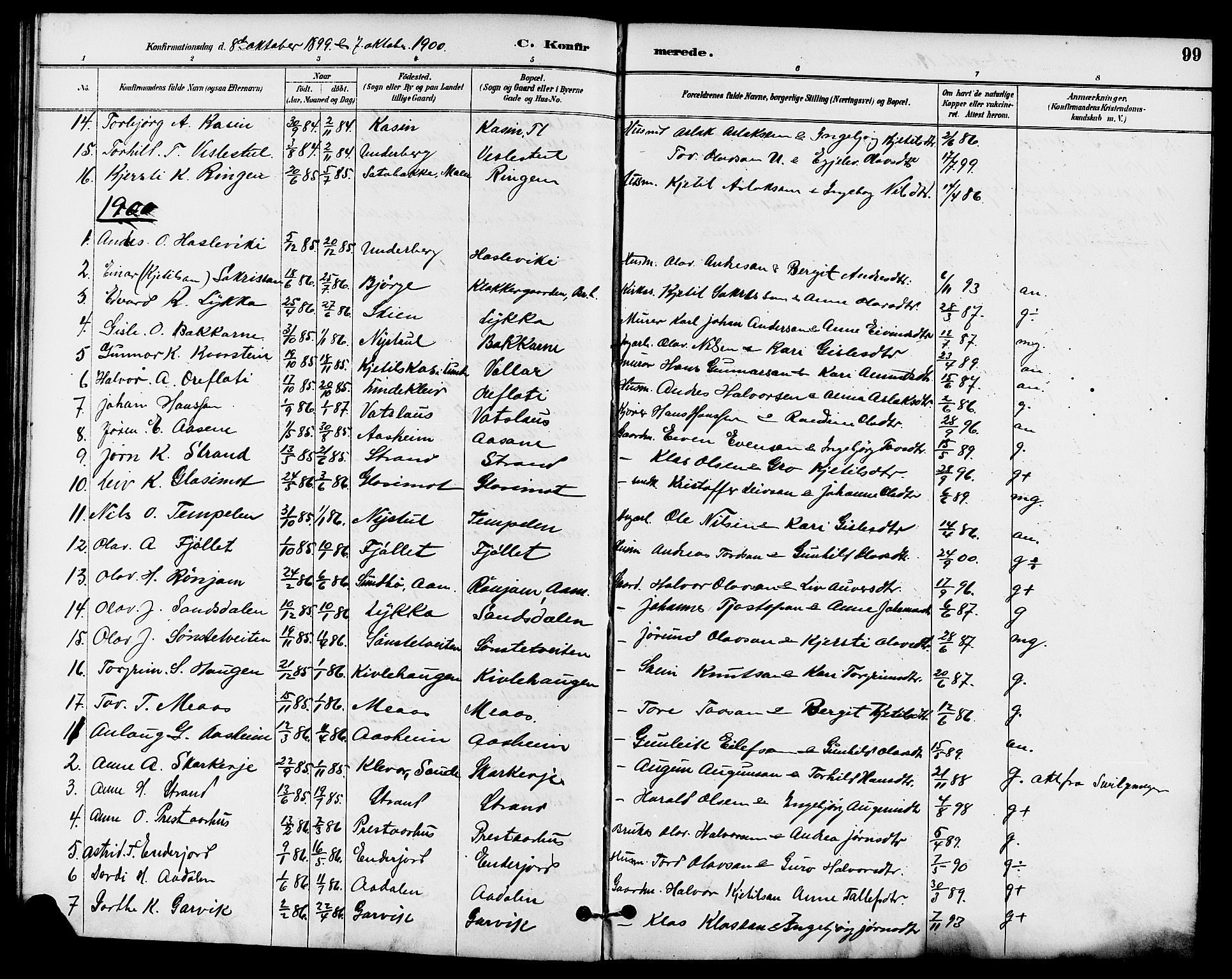Seljord kirkebøker, AV/SAKO-A-20/G/Ga/L0005: Klokkerbok nr. I 5, 1887-1914, s. 99