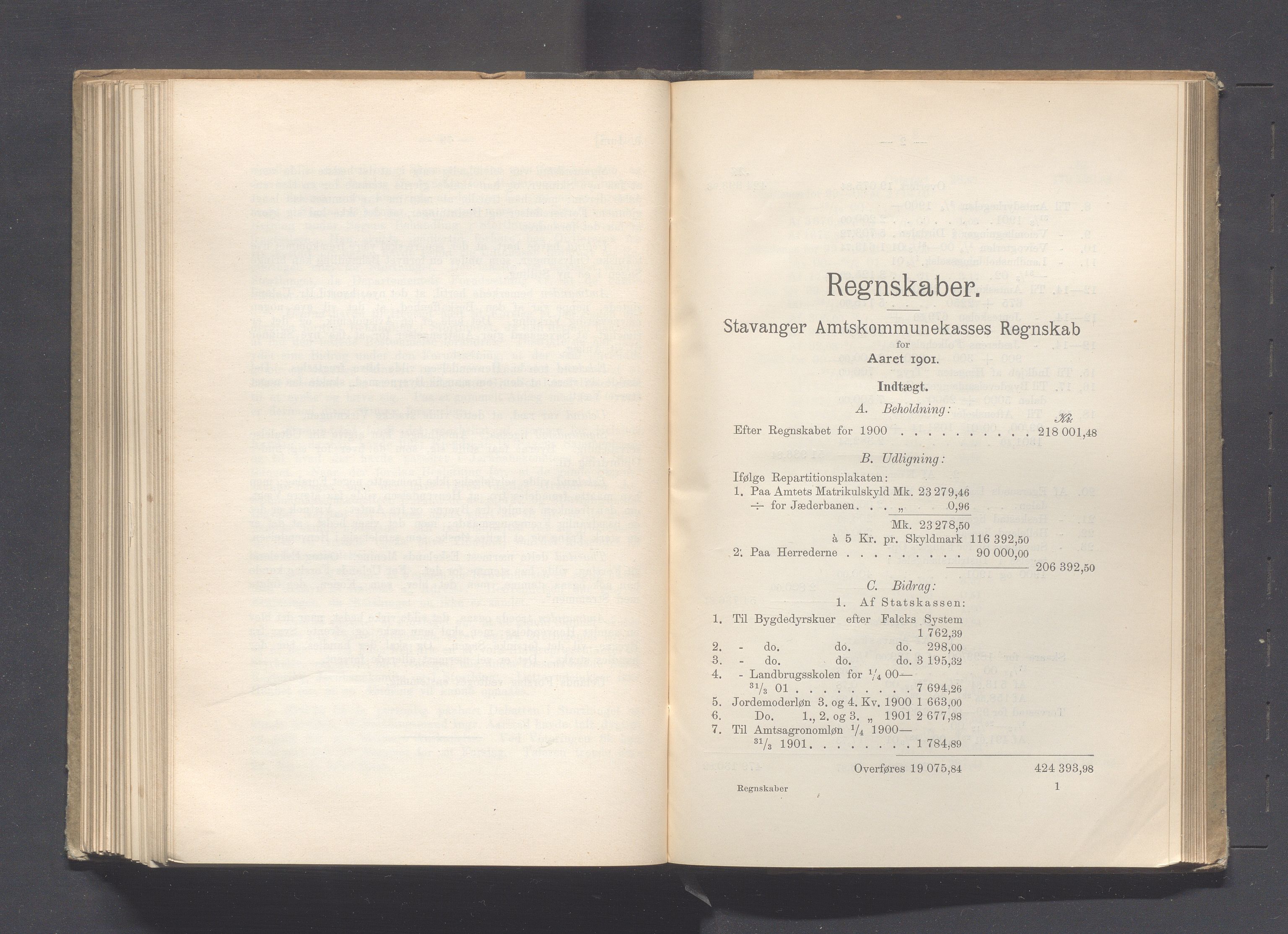 Rogaland fylkeskommune - Fylkesrådmannen , IKAR/A-900/A, 1902, s. 267