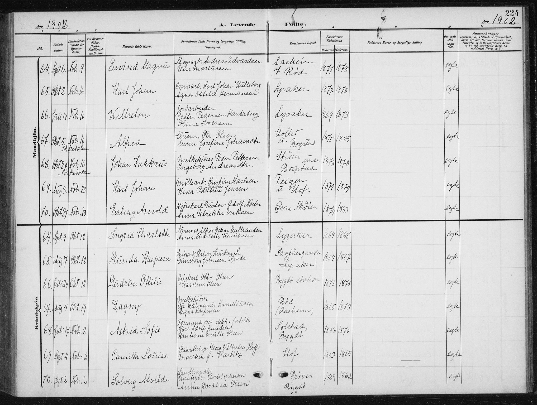 Vestre Aker prestekontor Kirkebøker, AV/SAO-A-10025/F/Fb/L0001: Ministerialbok nr. II 1, 1880-1906, s. 224