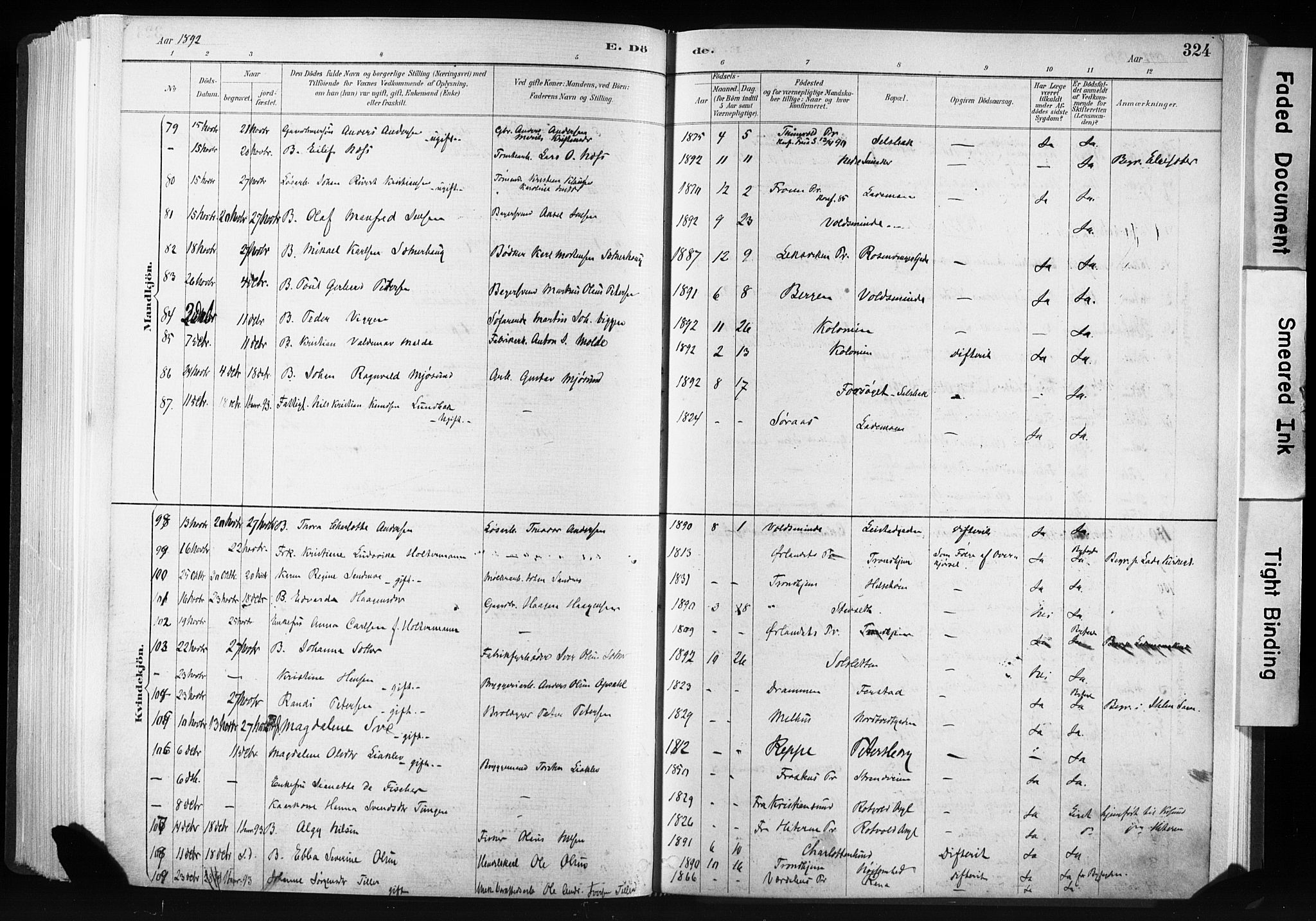 Ministerialprotokoller, klokkerbøker og fødselsregistre - Sør-Trøndelag, SAT/A-1456/606/L0300: Ministerialbok nr. 606A15, 1886-1893, s. 324