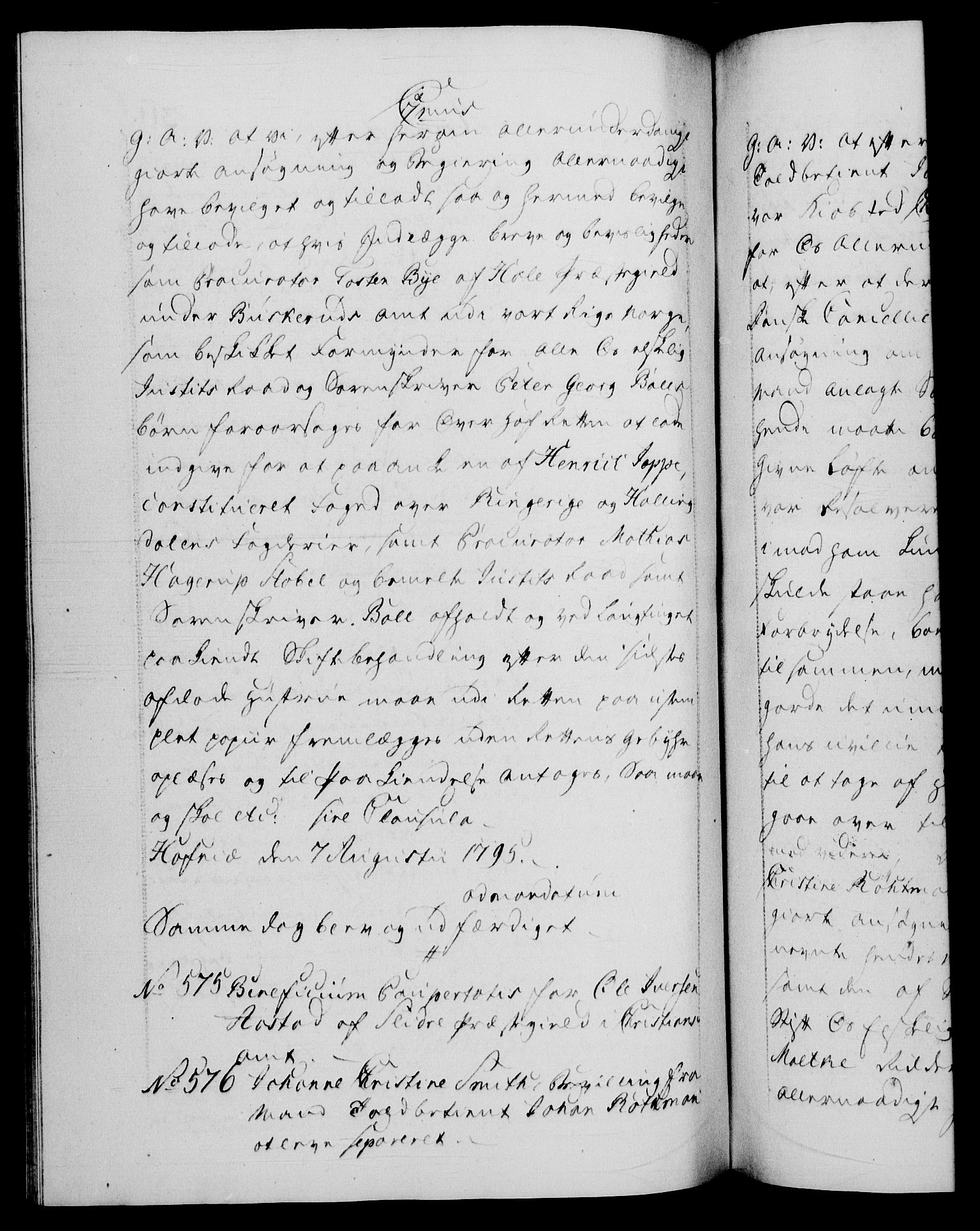 Danske Kanselli 1572-1799, RA/EA-3023/F/Fc/Fca/Fcaa/L0056: Norske registre, 1795-1796, s. 311b