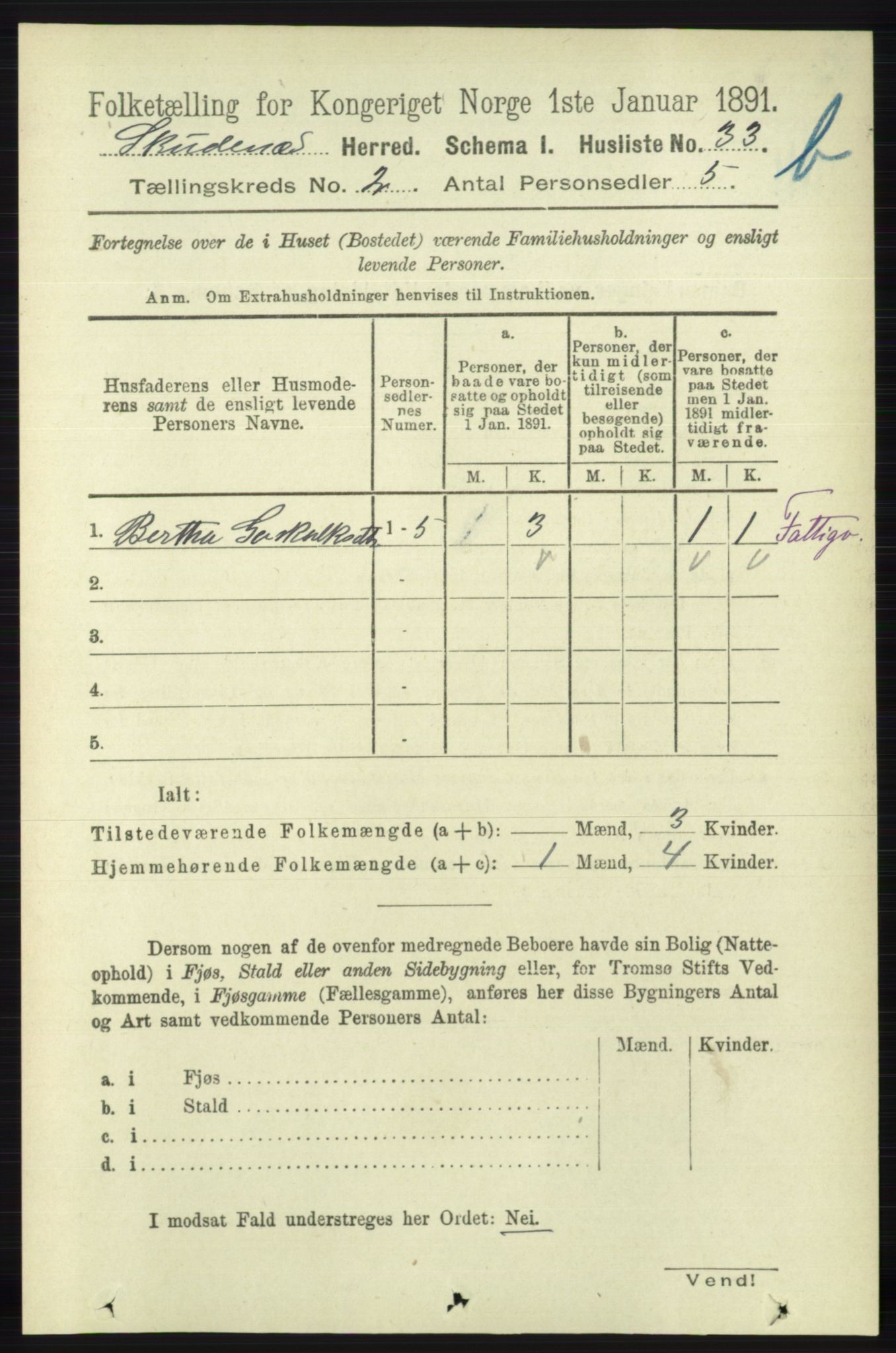 RA, Folketelling 1891 for 1150 Skudenes herred, 1891, s. 3704