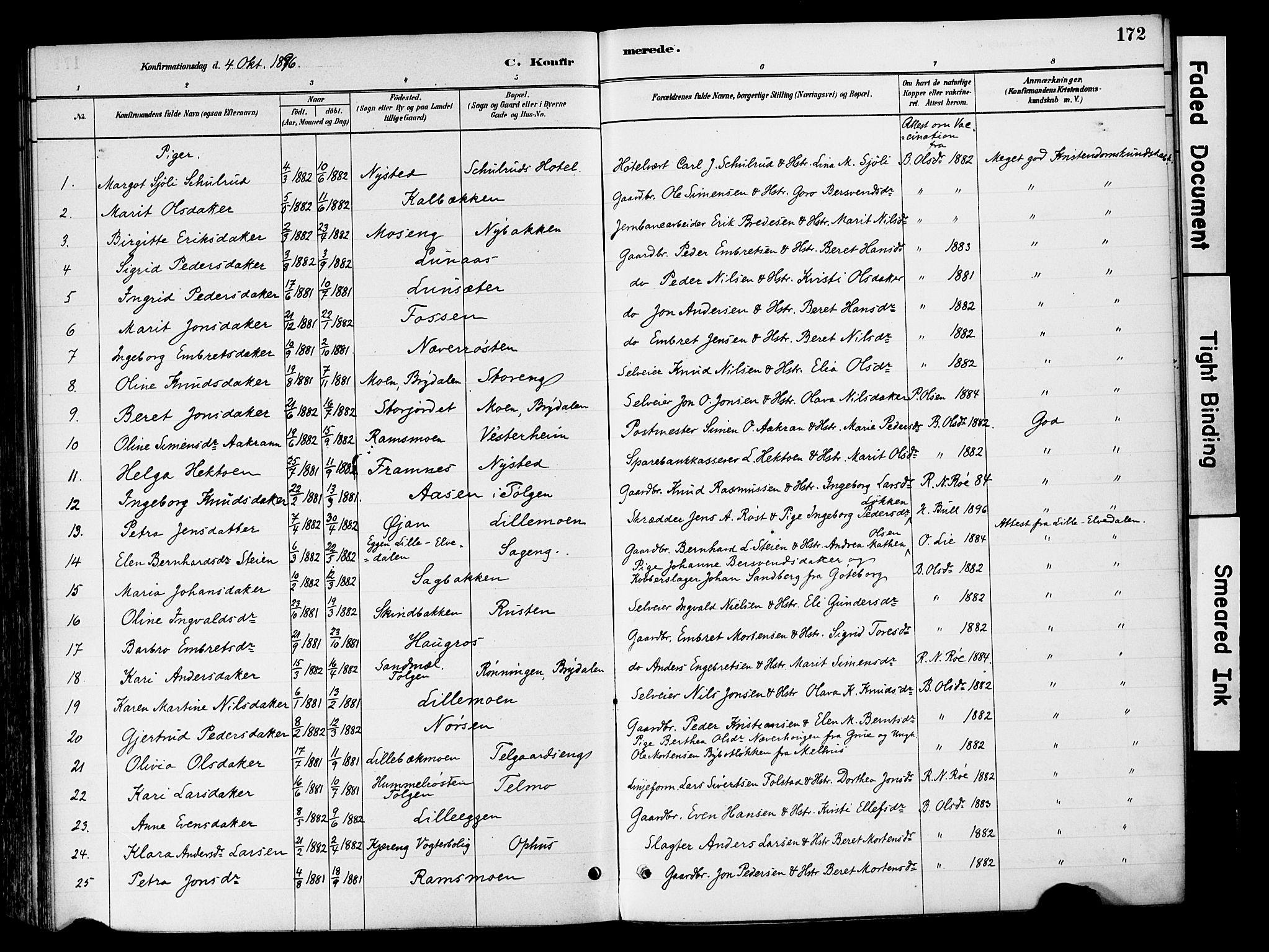 Tynset prestekontor, SAH/PREST-058/H/Ha/Haa/L0022: Ministerialbok nr. 22, 1880-1899, s. 172