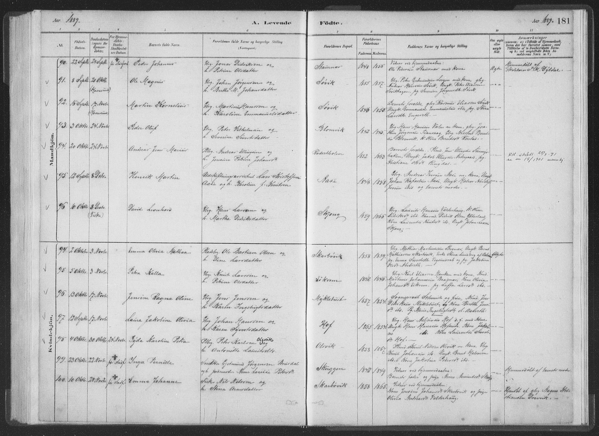 Ministerialprotokoller, klokkerbøker og fødselsregistre - Møre og Romsdal, AV/SAT-A-1454/528/L0401: Ministerialbok nr. 528A12I, 1880-1920, s. 181