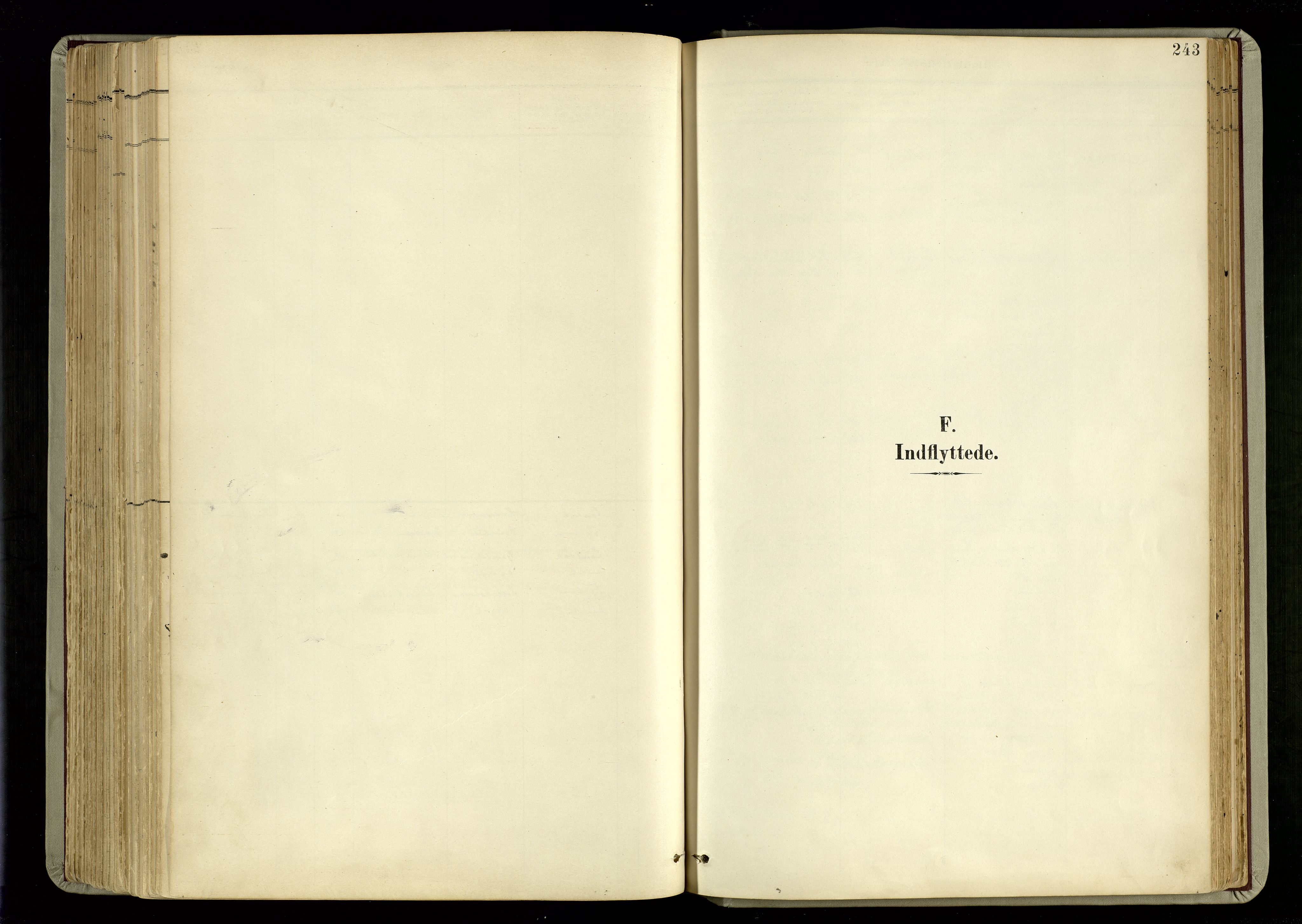 Hommedal sokneprestkontor, AV/SAK-1111-0023/F/Fa/Fab/L0007: Ministerialbok nr. A 7, 1898-1924, s. 243