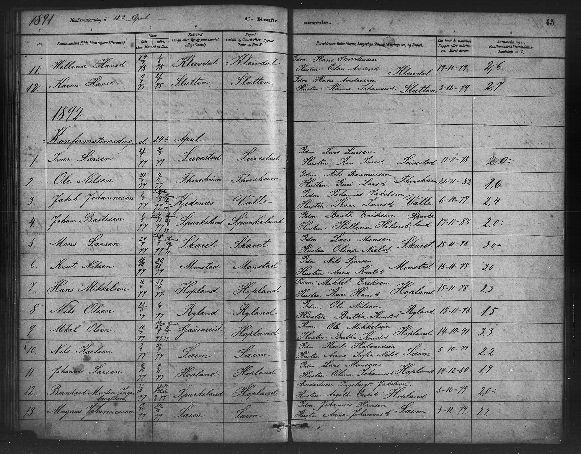 Alversund Sokneprestembete, AV/SAB-A-73901/H/Ha/Haa/Haad/L0001: Ministerialbok nr. D 1, 1880-1898, s. 45