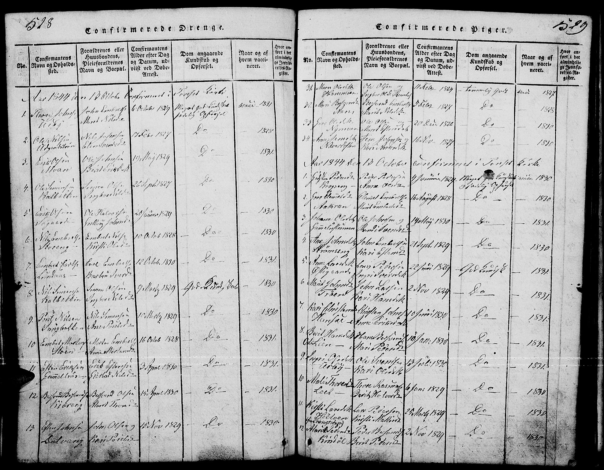 Tynset prestekontor, AV/SAH-PREST-058/H/Ha/Hab/L0001: Klokkerbok nr. 1, 1814-1859, s. 528-529