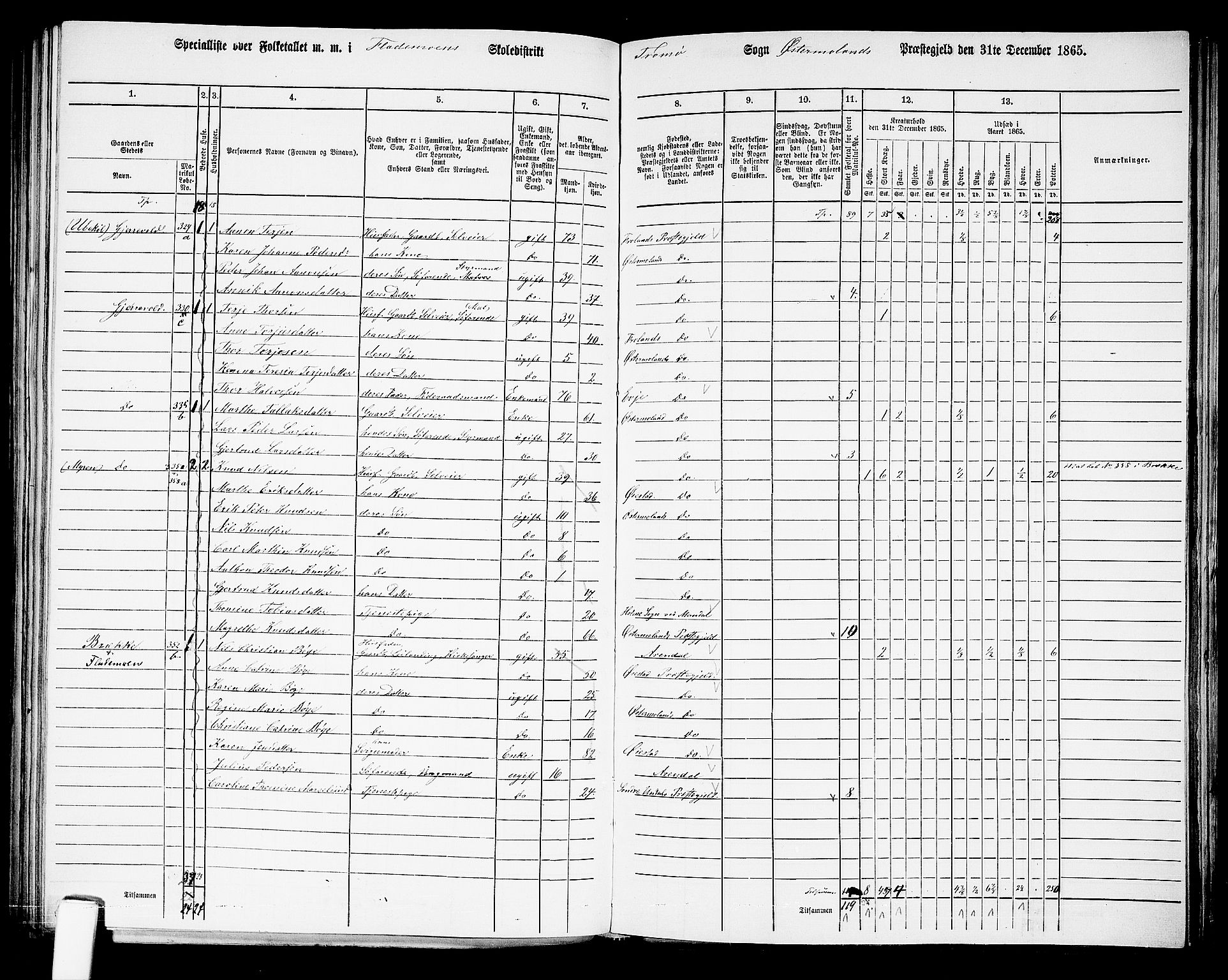 RA, Folketelling 1865 for 0918P Austre Moland prestegjeld, 1865, s. 220