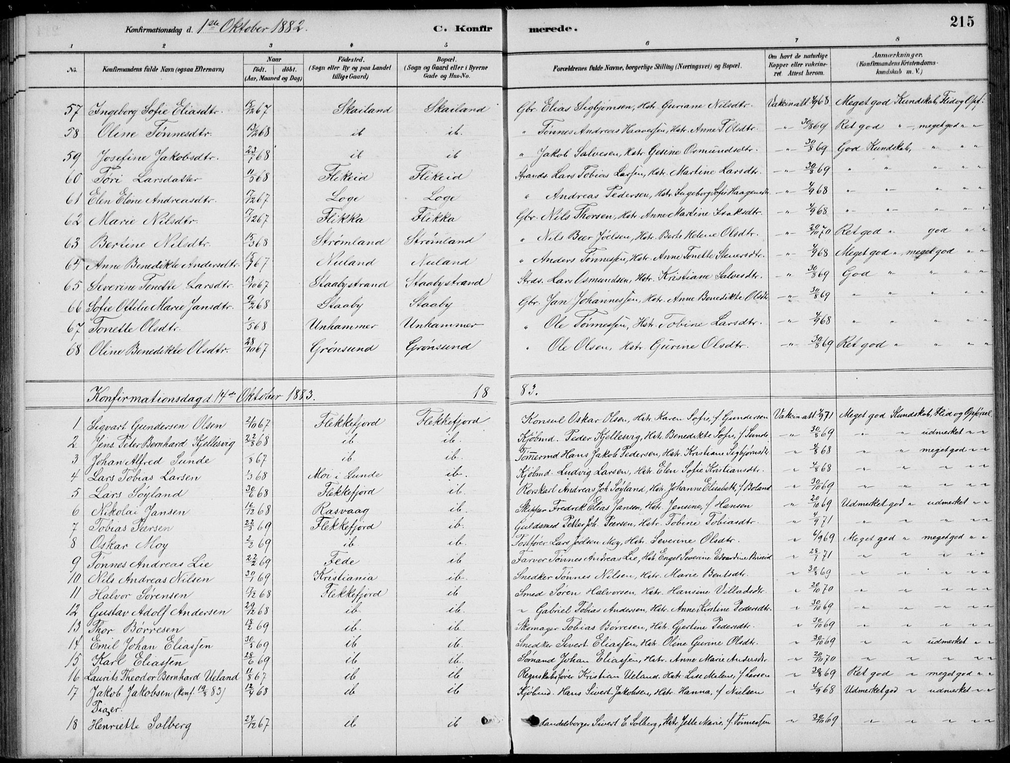 Flekkefjord sokneprestkontor, AV/SAK-1111-0012/F/Fb/Fbc/L0007: Klokkerbok nr. B 7, 1880-1902, s. 215