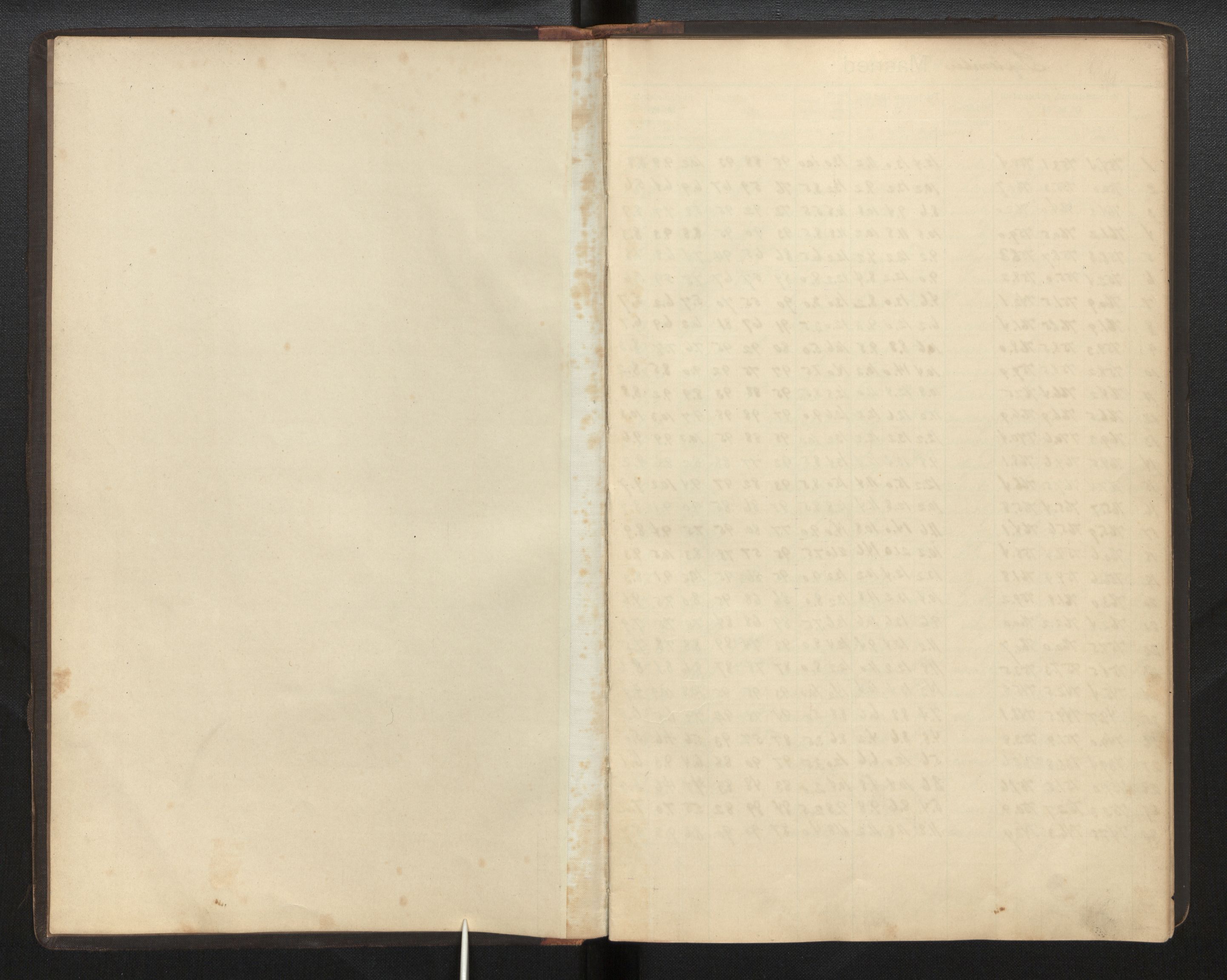 Lepraarkiver - Pleiestiftelsen for spedalske no.1, AV/SAB-A-60601/E/L0004: Observasjonsprotokoll, 1900-1905