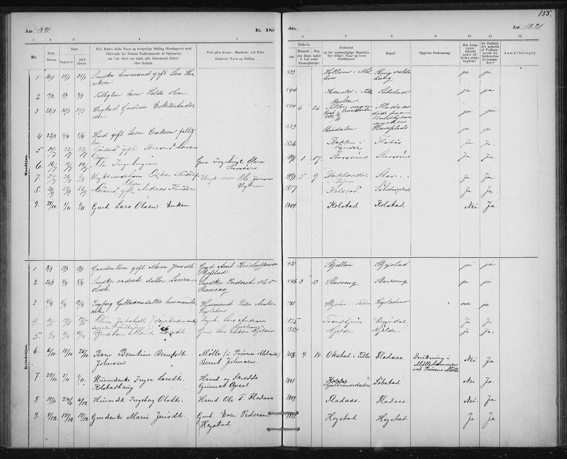 Ministerialprotokoller, klokkerbøker og fødselsregistre - Sør-Trøndelag, SAT/A-1456/613/L0392: Ministerialbok nr. 613A01, 1887-1906, s. 155