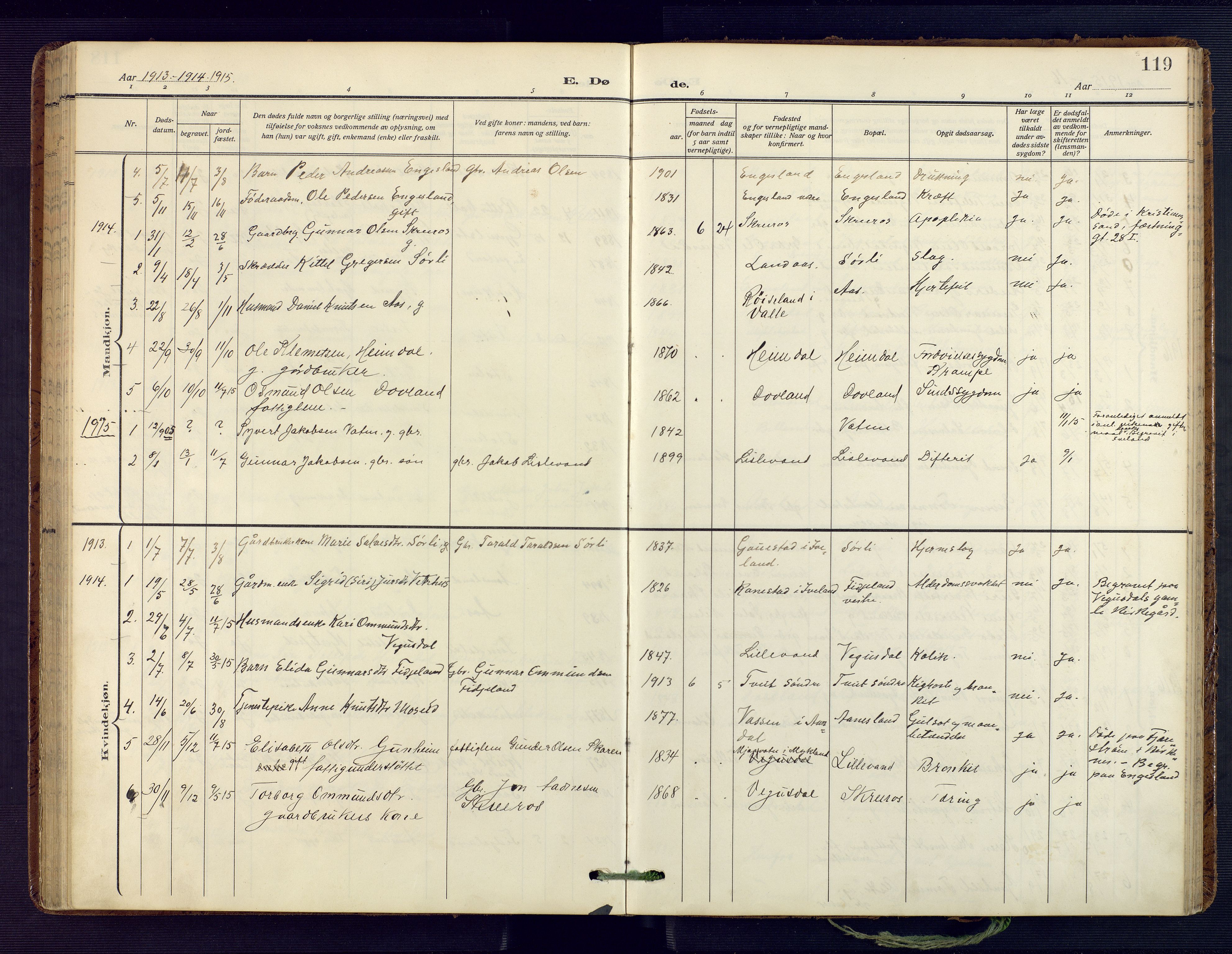 Herefoss sokneprestkontor, AV/SAK-1111-0019/F/Fa/Fab/L0005: Ministerialbok nr. A 5, 1910-1932, s. 119