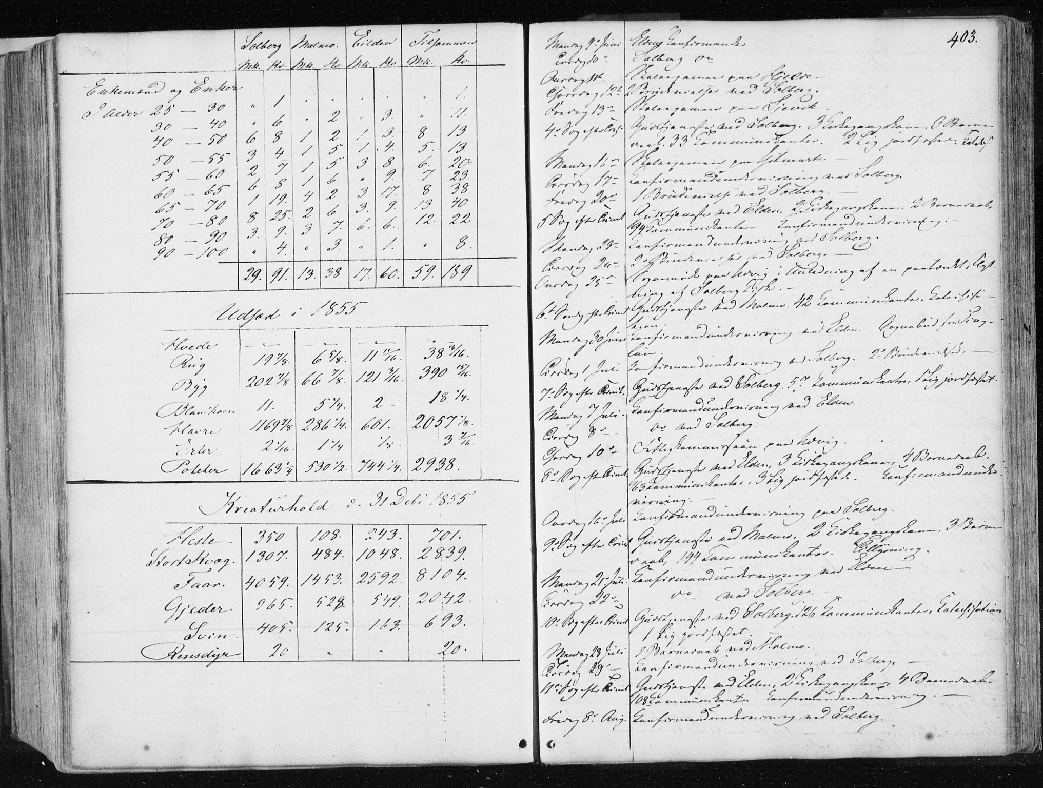 Ministerialprotokoller, klokkerbøker og fødselsregistre - Nord-Trøndelag, AV/SAT-A-1458/741/L0393: Ministerialbok nr. 741A07, 1849-1863, s. 403