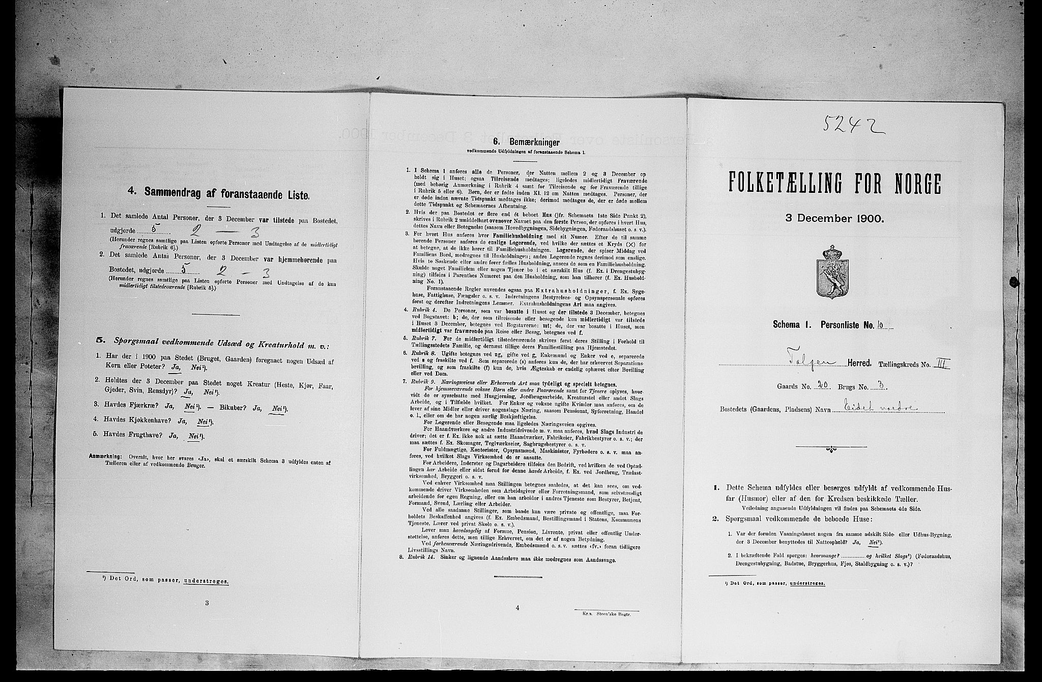 SAH, Folketelling 1900 for 0436 Tolga herred, 1900, s. 316