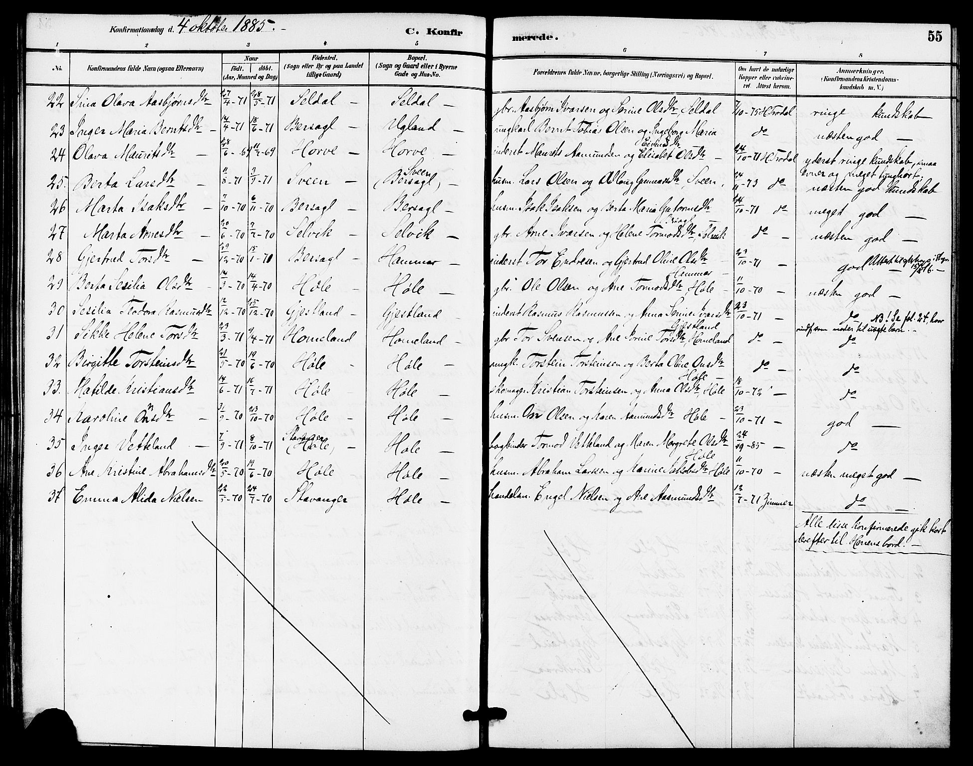 Høgsfjord sokneprestkontor, AV/SAST-A-101624/H/Ha/Haa/L0005: Ministerialbok nr. A 5, 1885-1897, s. 55