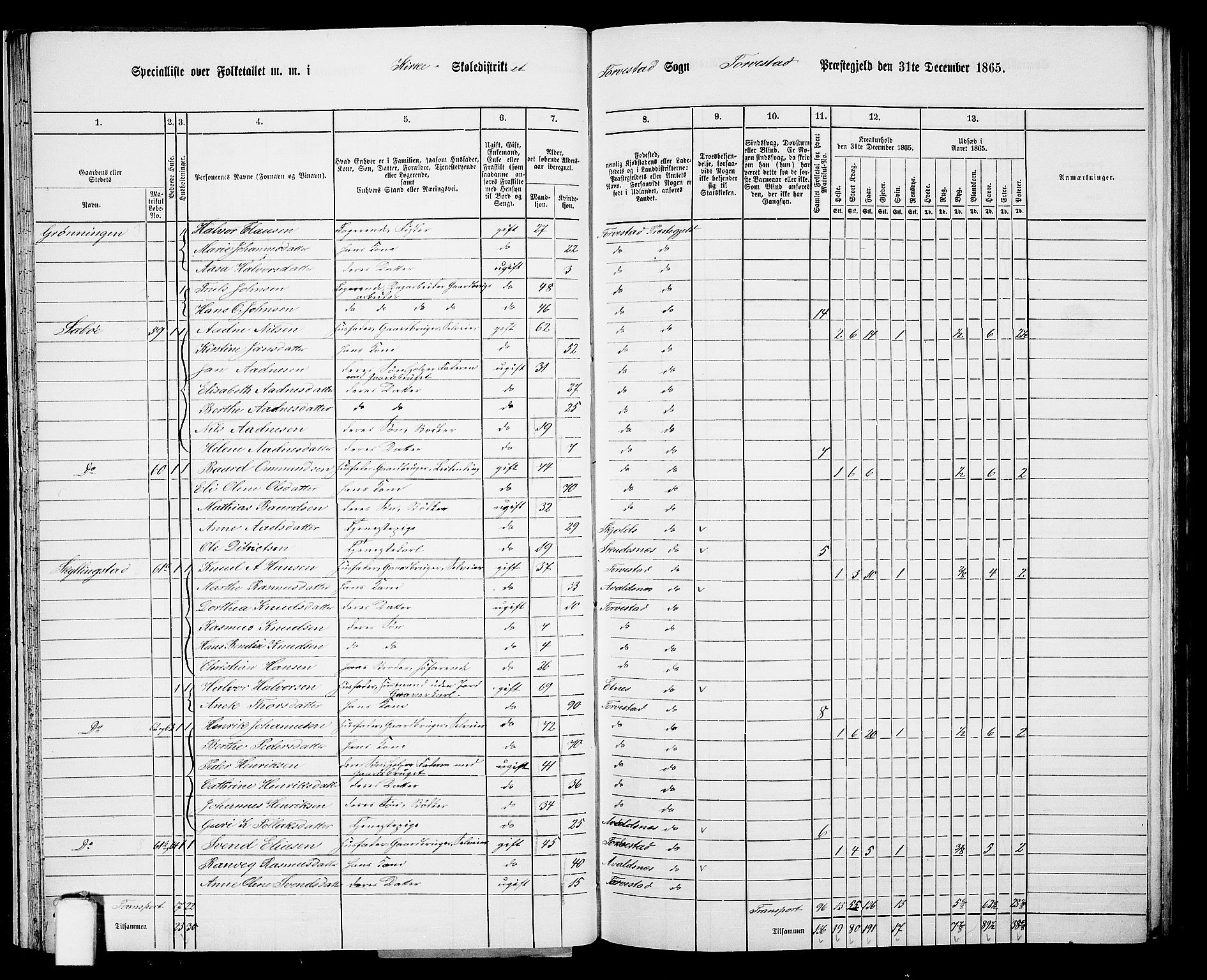 RA, Folketelling 1865 for 1152L Torvastad prestegjeld, Torvastad sokn, Skåre sokn og Utsira sokn, 1865, s. 33