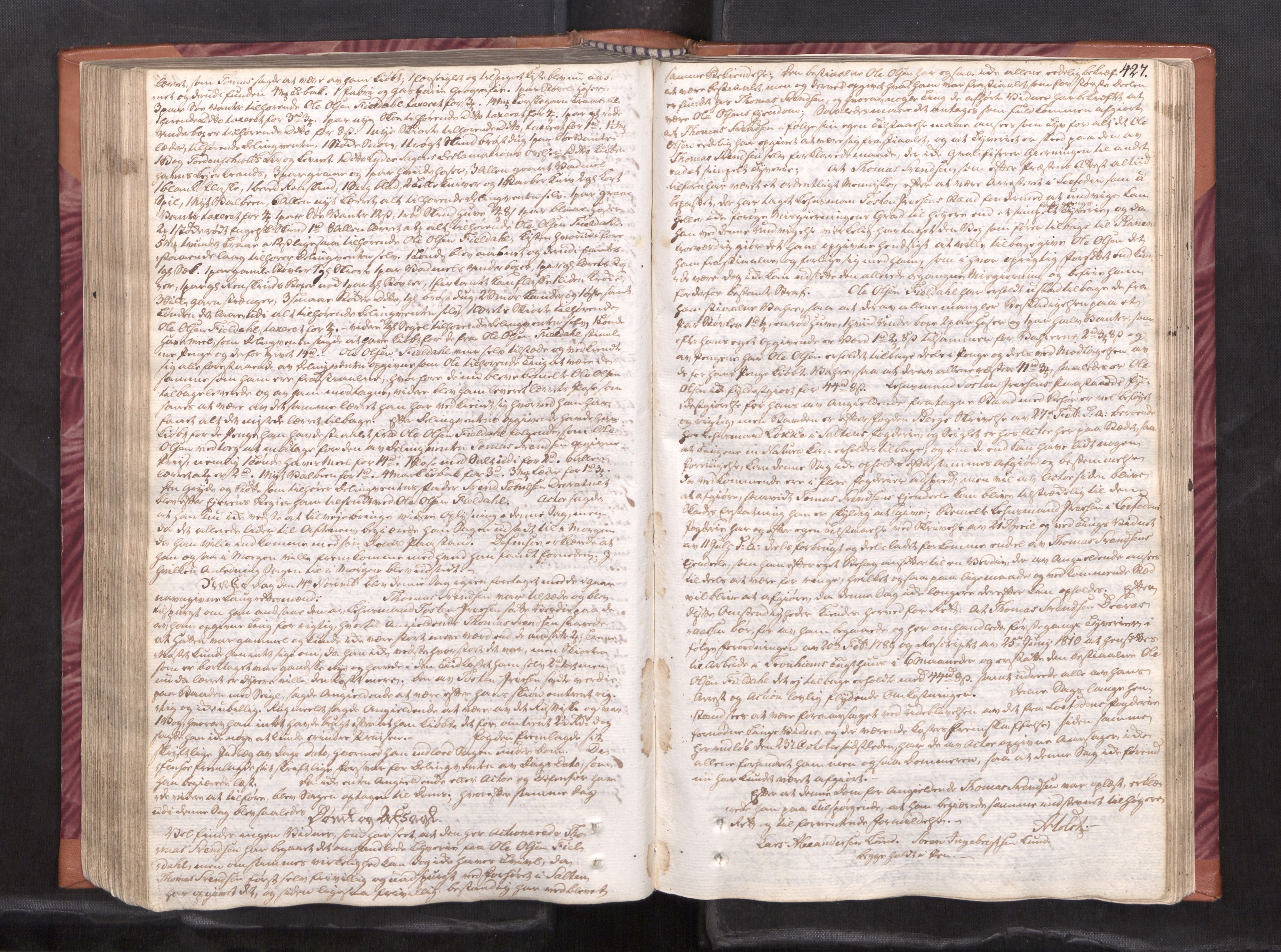 Helgeland sorenskriveri, AV/SAT-A-0004/1/1A/L0037: Tingbok 26B, 1806-1812, s. 426b-427a