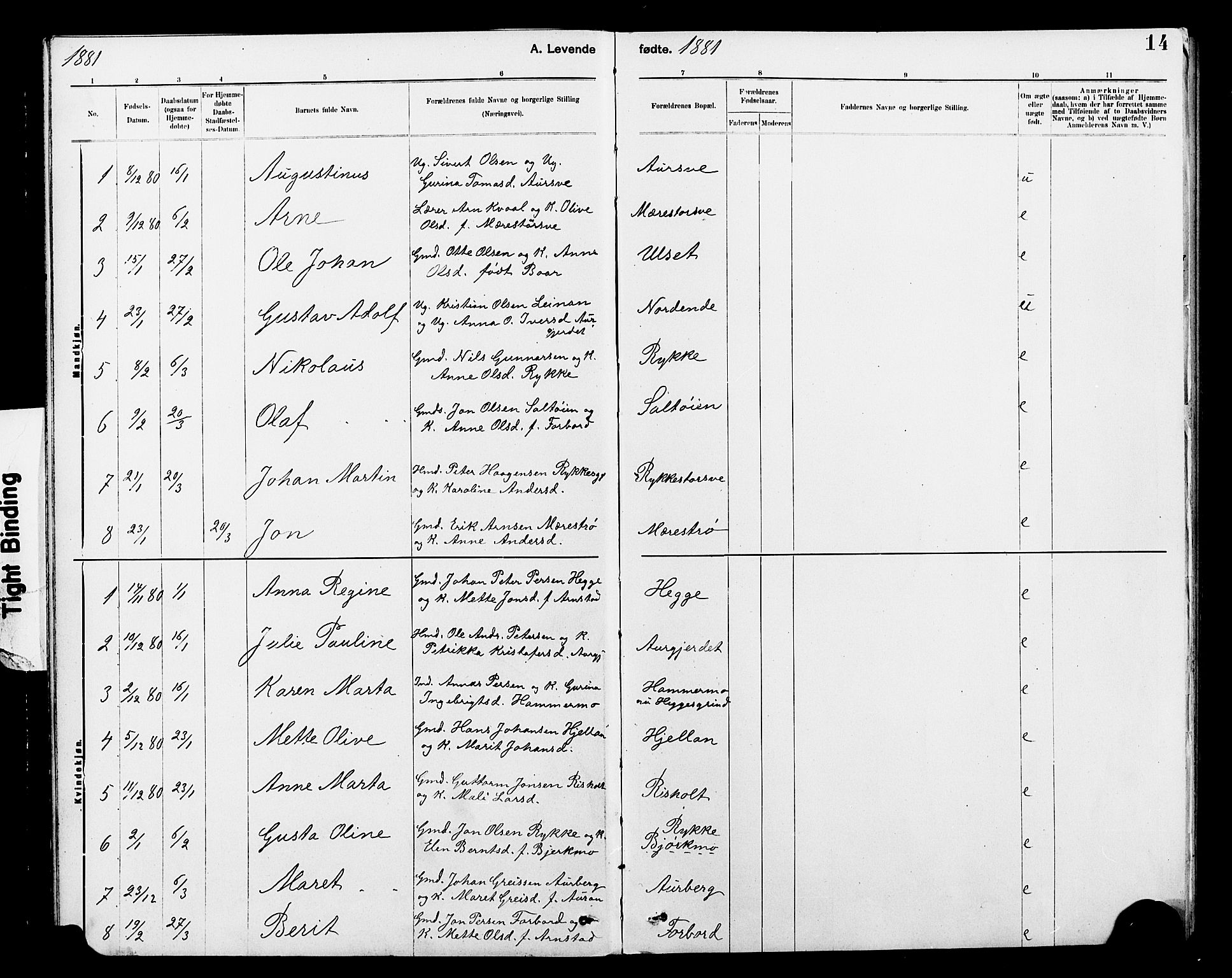 Ministerialprotokoller, klokkerbøker og fødselsregistre - Nord-Trøndelag, SAT/A-1458/712/L0103: Klokkerbok nr. 712C01, 1878-1917, s. 14