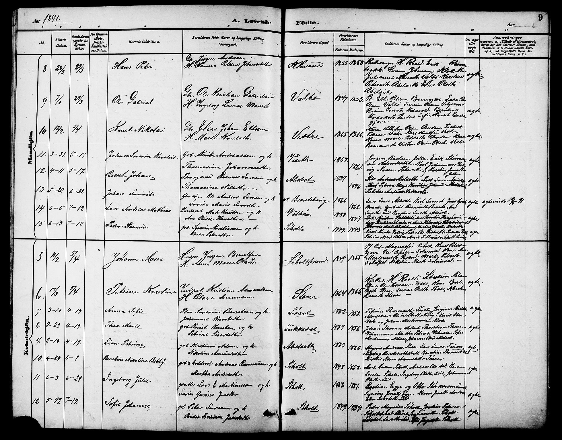 Ministerialprotokoller, klokkerbøker og fødselsregistre - Møre og Romsdal, AV/SAT-A-1454/522/L0327: Klokkerbok nr. 522C06, 1890-1915, s. 9