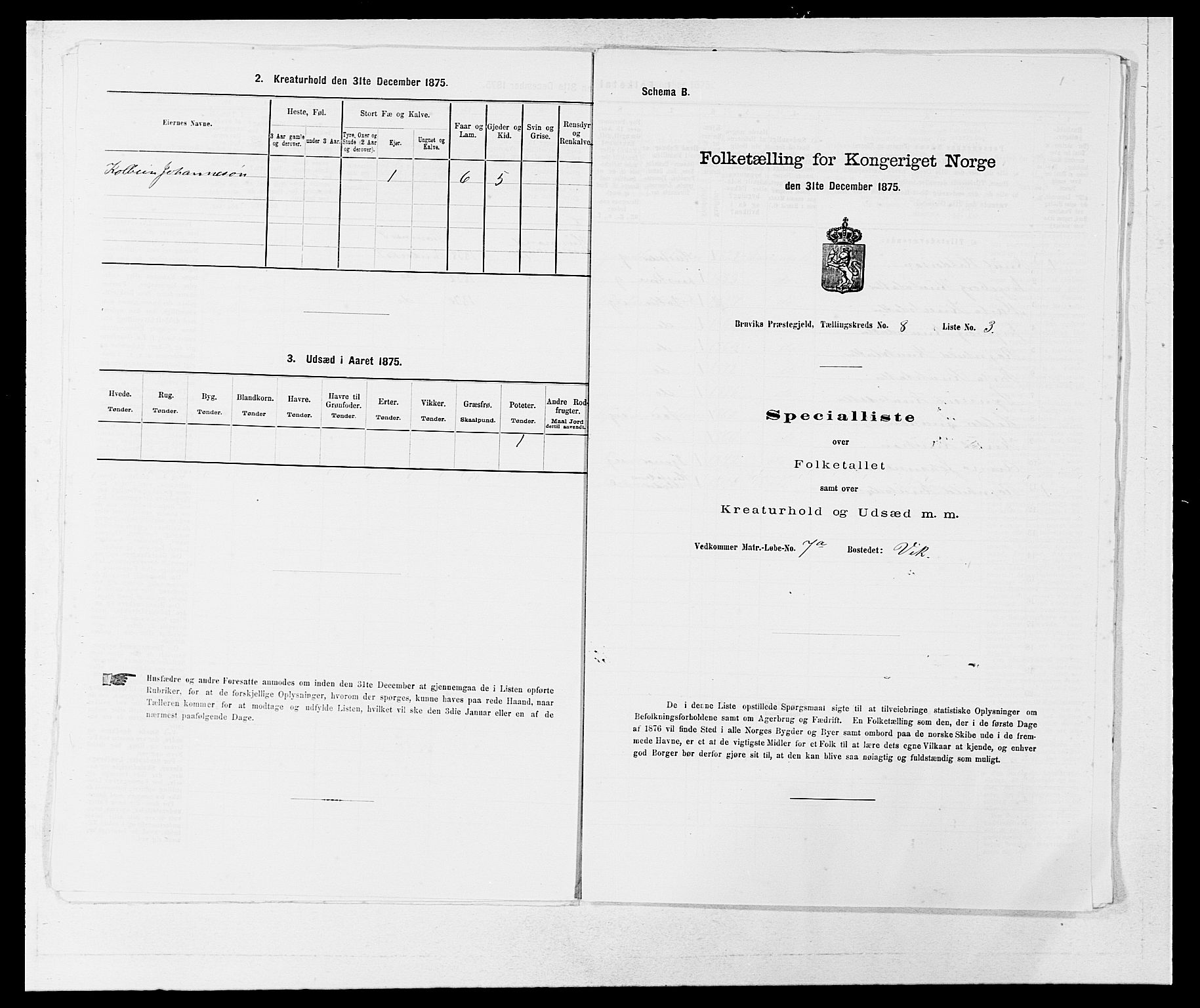 SAB, Folketelling 1875 for 1251P Bruvik prestegjeld, 1875, s. 589