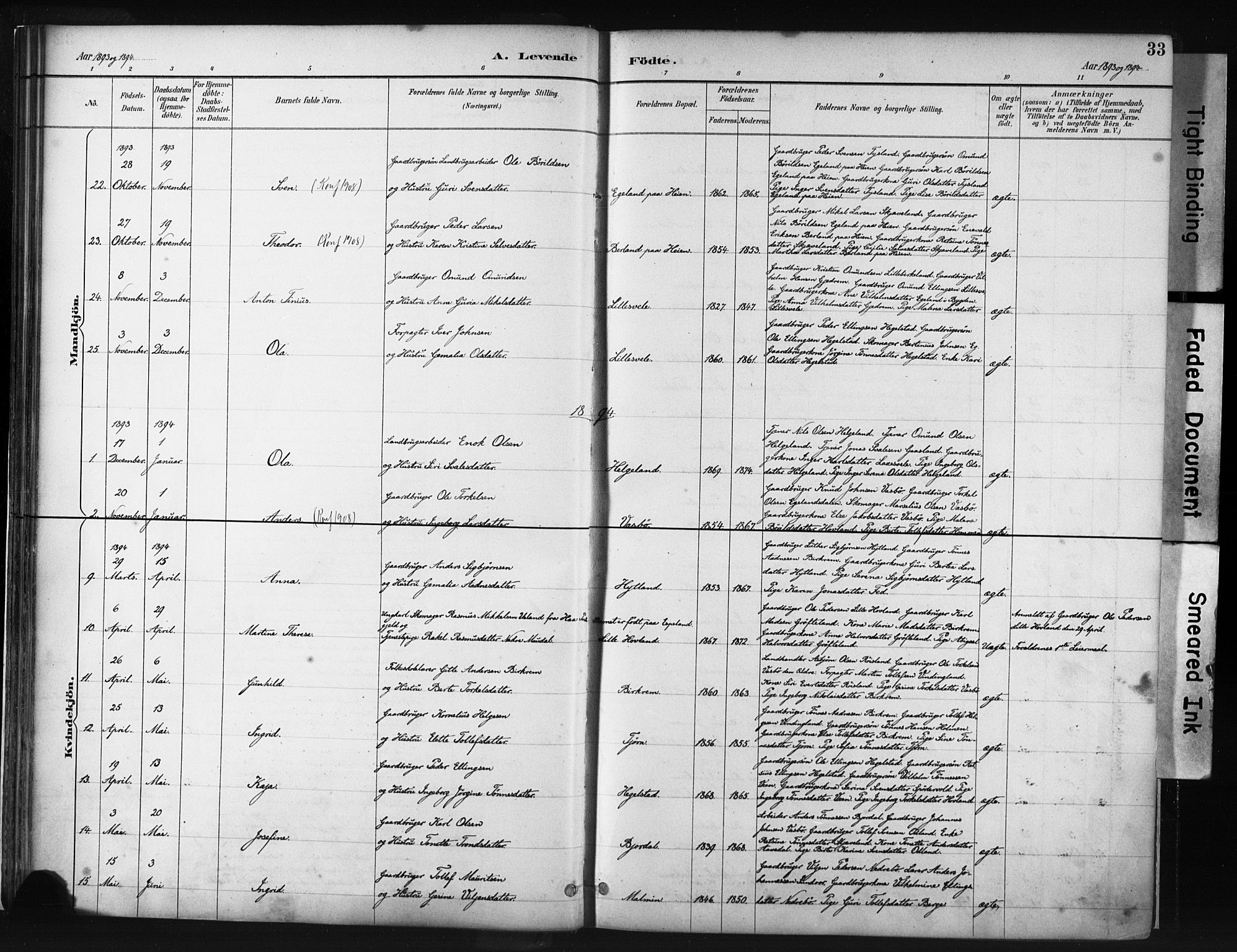 Helleland sokneprestkontor, AV/SAST-A-101810: Ministerialbok nr. A 9, 1887-1908, s. 33