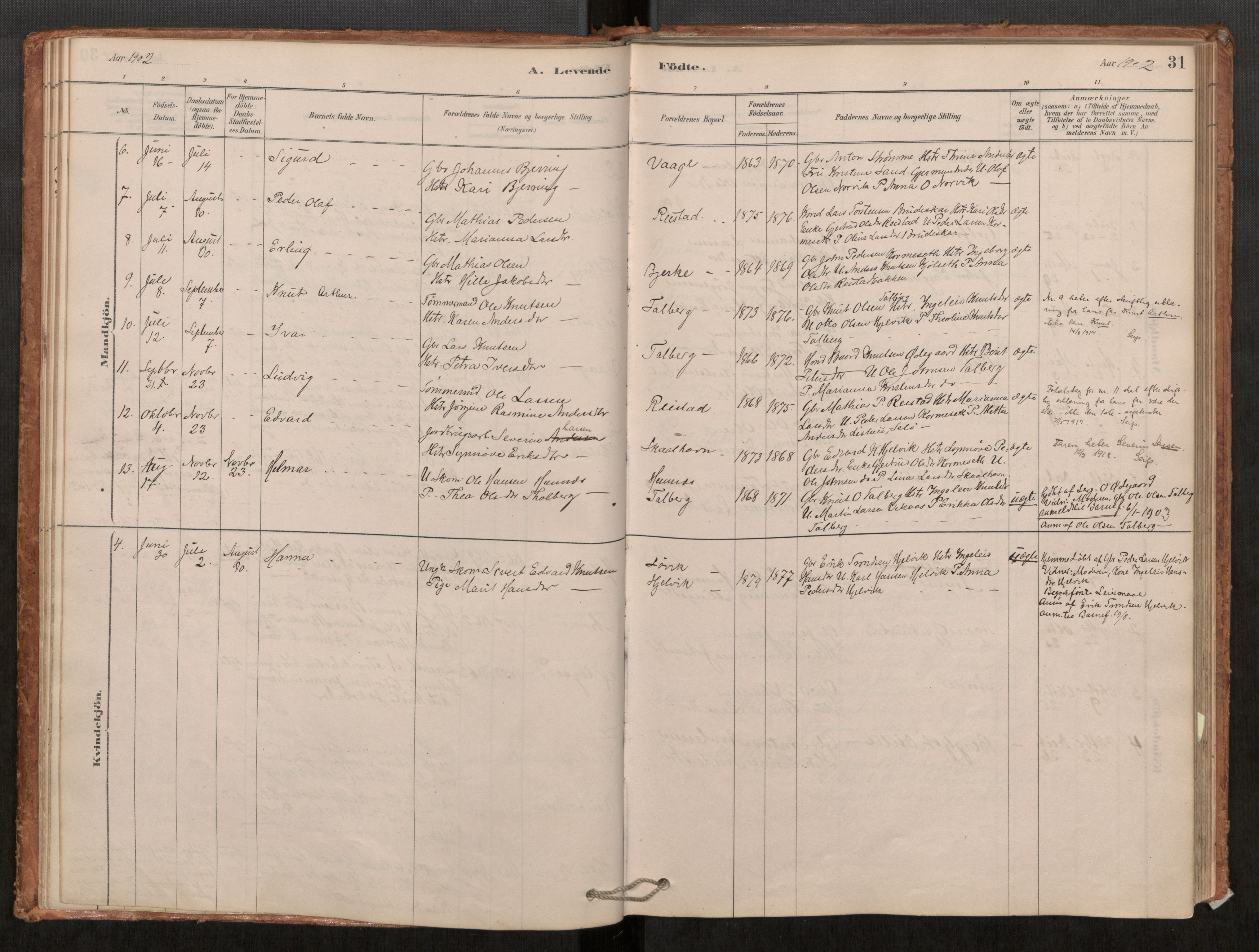 Ministerialprotokoller, klokkerbøker og fødselsregistre - Møre og Romsdal, AV/SAT-A-1454/550/L0621: Ministerialbok nr. 550A01, 1878-1915, s. 31