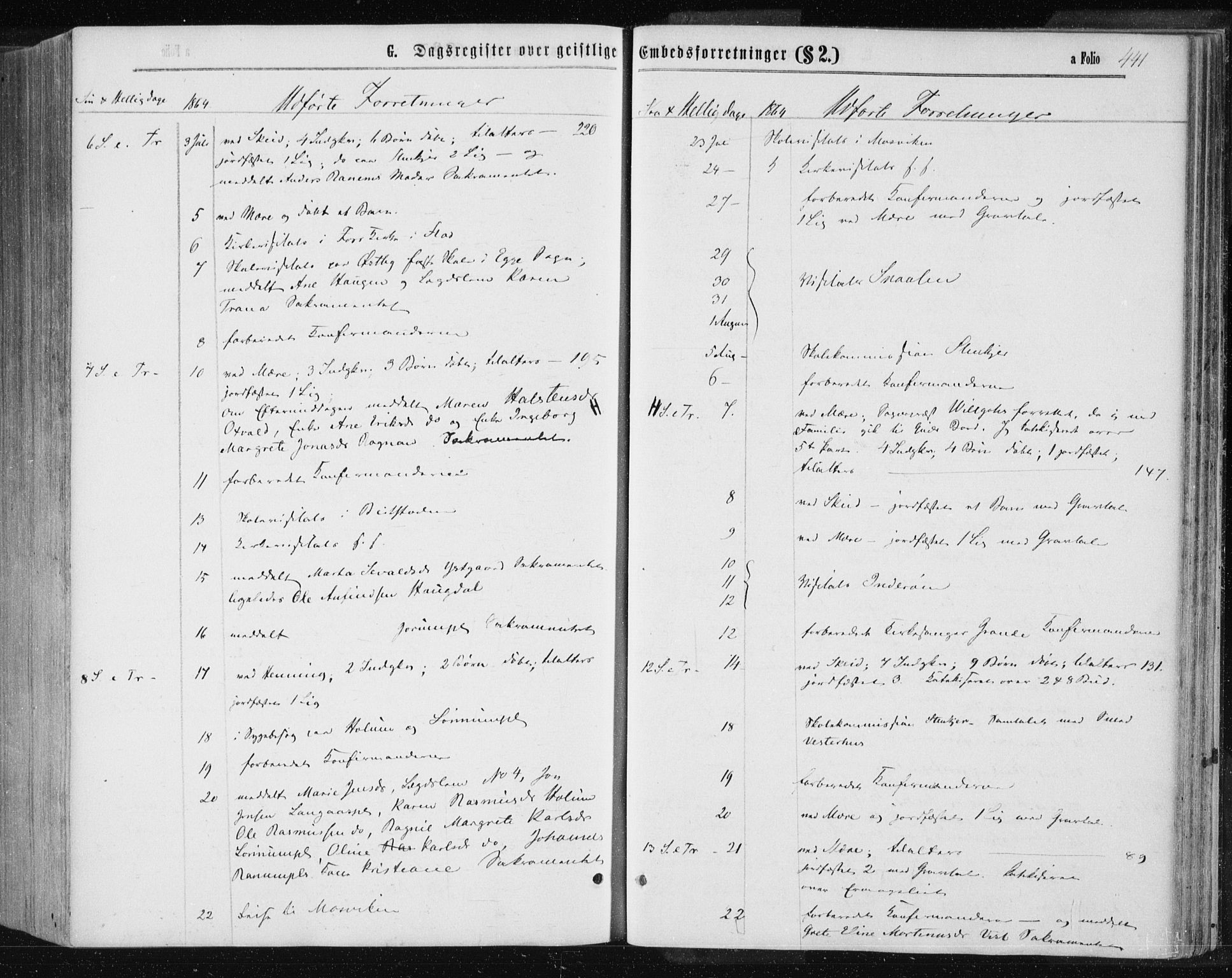 Ministerialprotokoller, klokkerbøker og fødselsregistre - Nord-Trøndelag, AV/SAT-A-1458/735/L0345: Ministerialbok nr. 735A08 /1, 1863-1872, s. 441