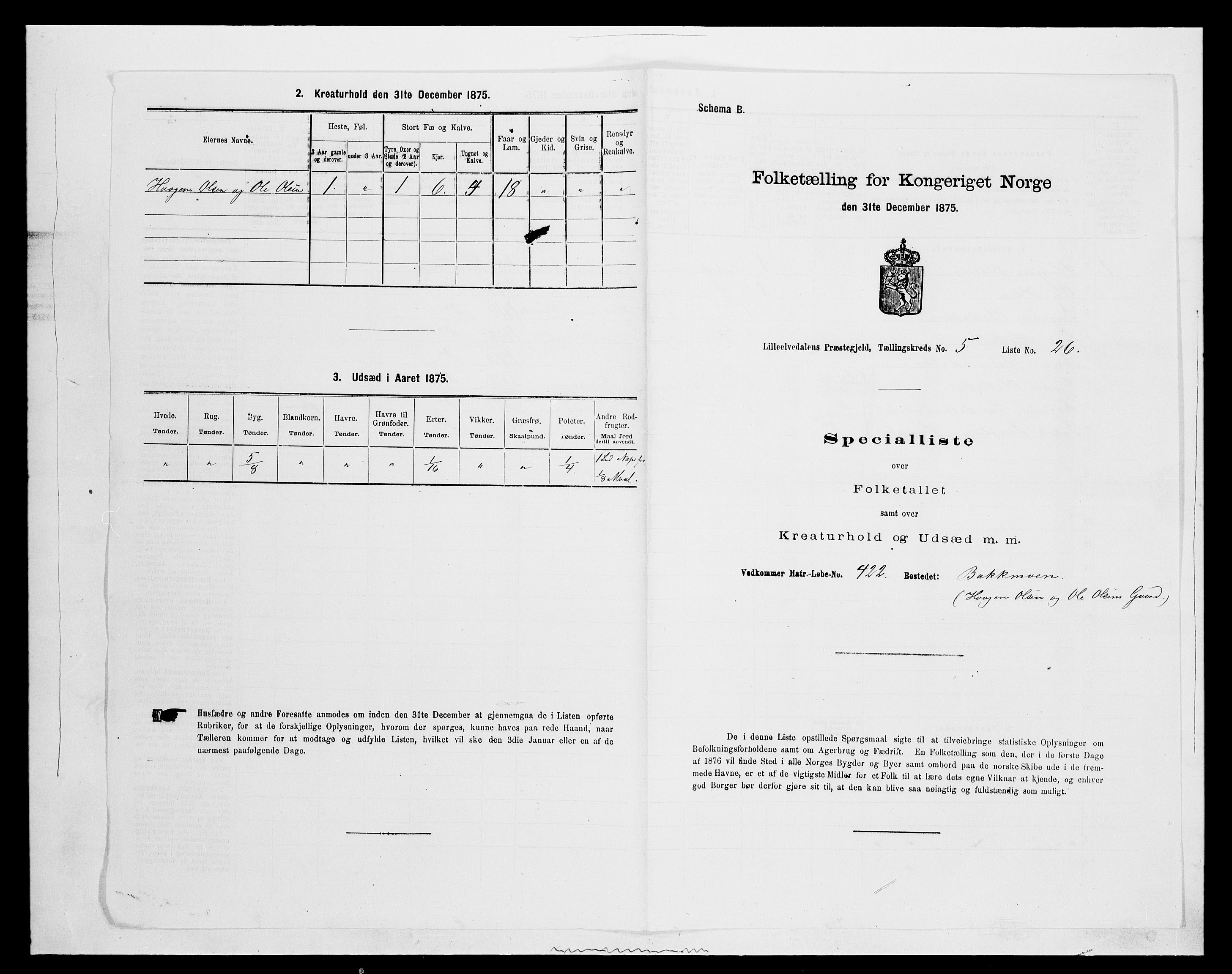 SAH, Folketelling 1875 for 0438P Lille Elvedalen (Alvdal) prestegjeld, 1875, s. 494