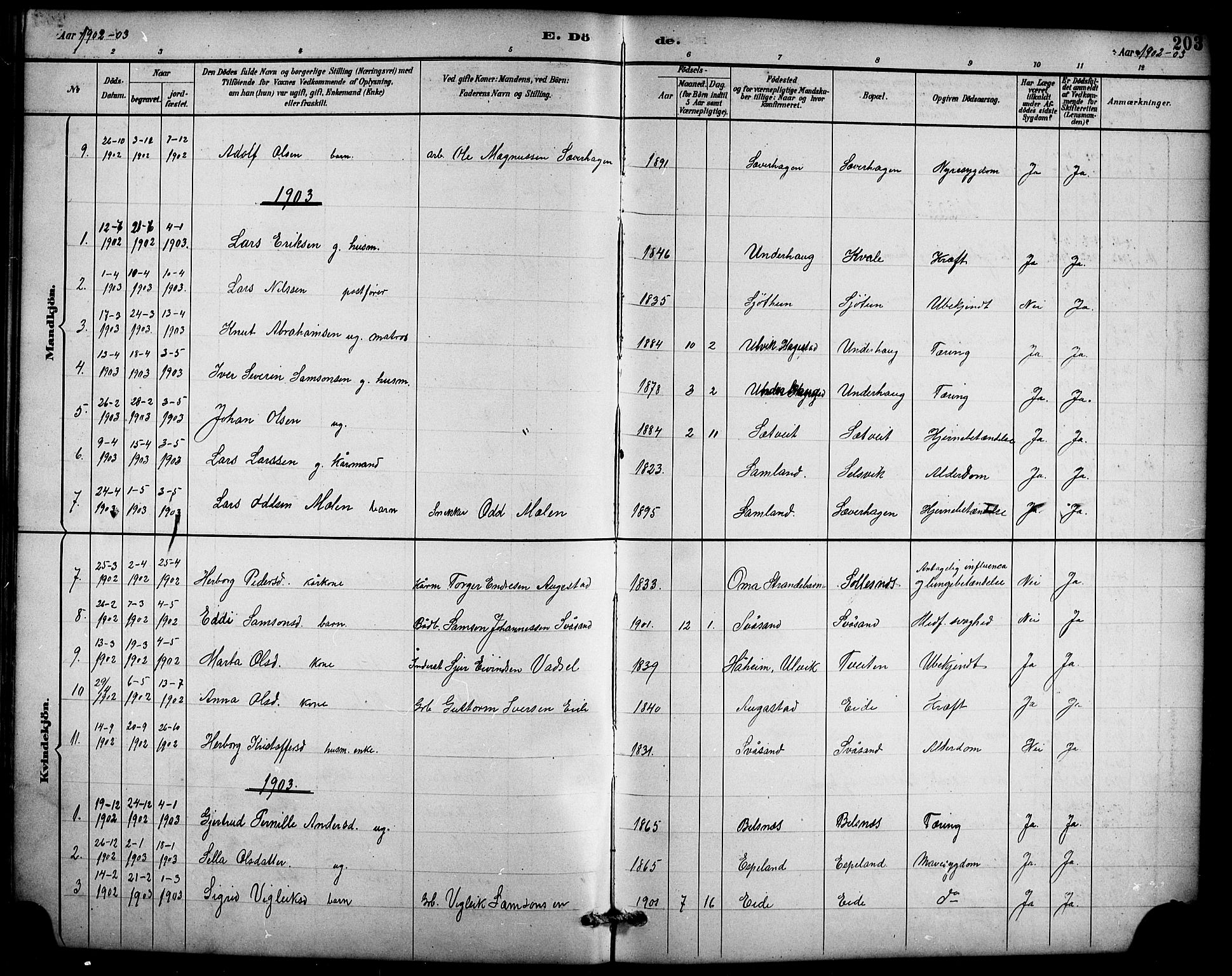 Ullensvang sokneprestembete, AV/SAB-A-78701/H/Hab: Klokkerbok nr. D 1, 1891-1908, s. 203