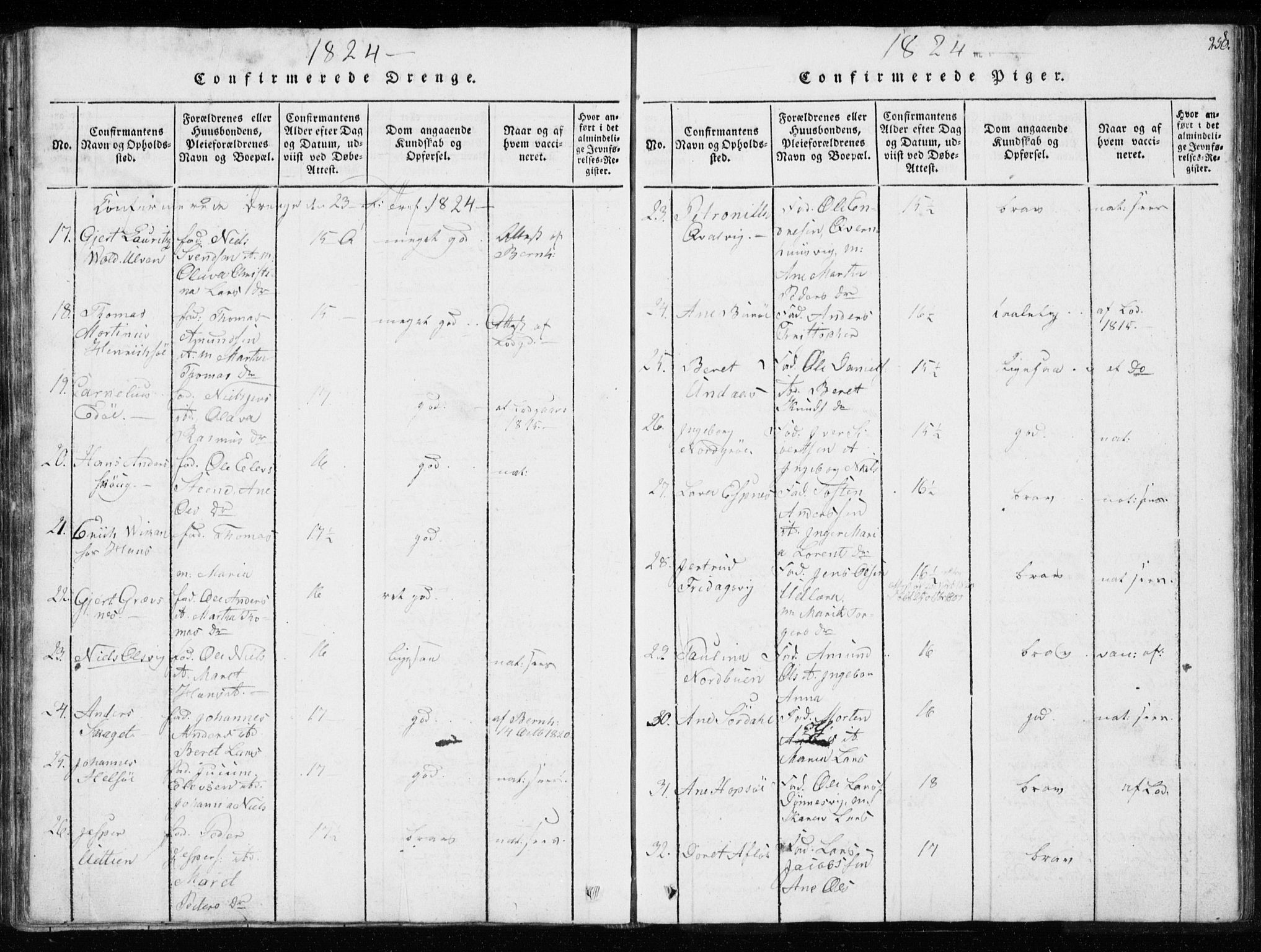 Ministerialprotokoller, klokkerbøker og fødselsregistre - Sør-Trøndelag, SAT/A-1456/634/L0527: Ministerialbok nr. 634A03, 1818-1826, s. 250