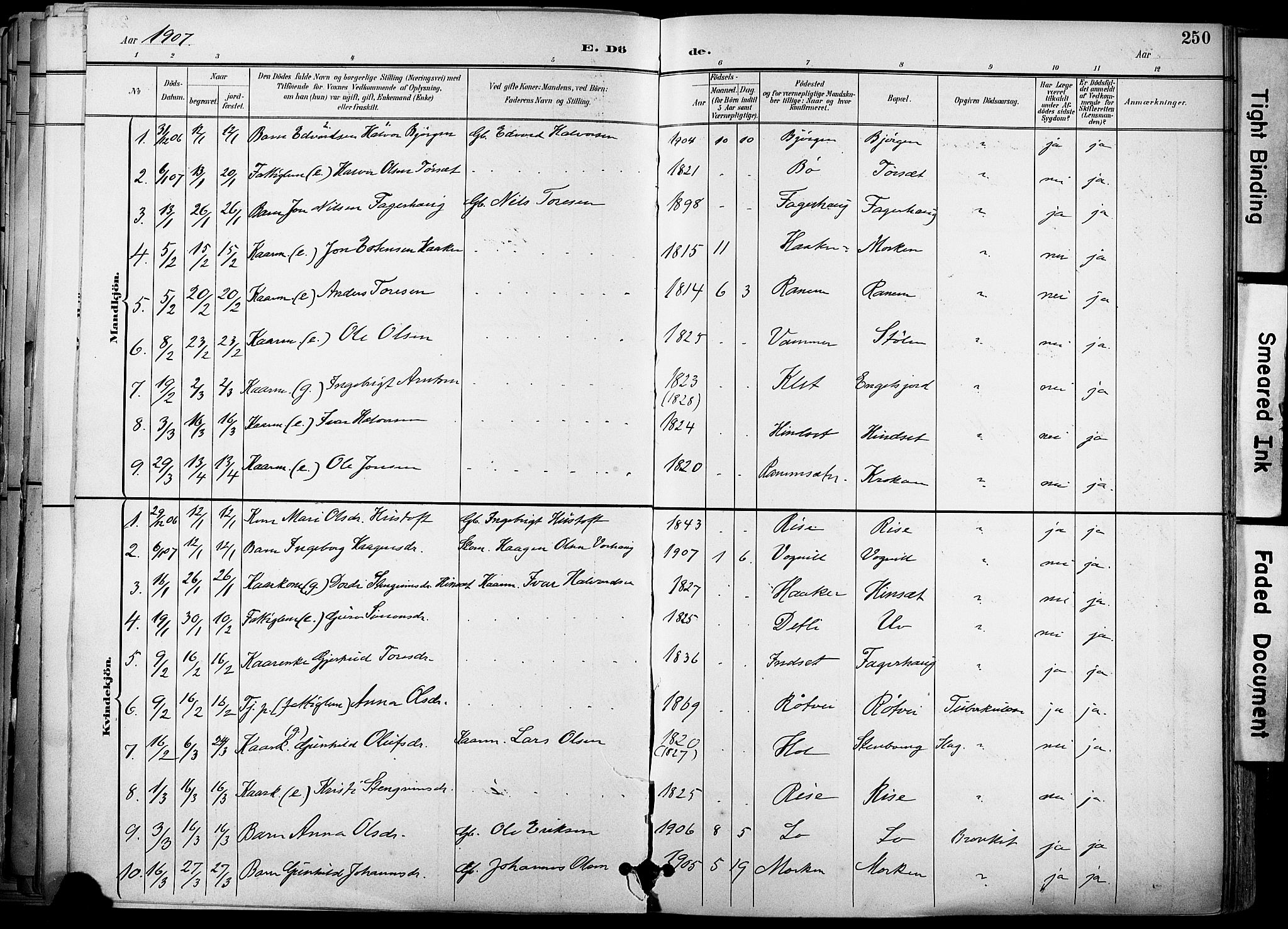 Ministerialprotokoller, klokkerbøker og fødselsregistre - Sør-Trøndelag, SAT/A-1456/678/L0902: Ministerialbok nr. 678A11, 1895-1911, s. 250