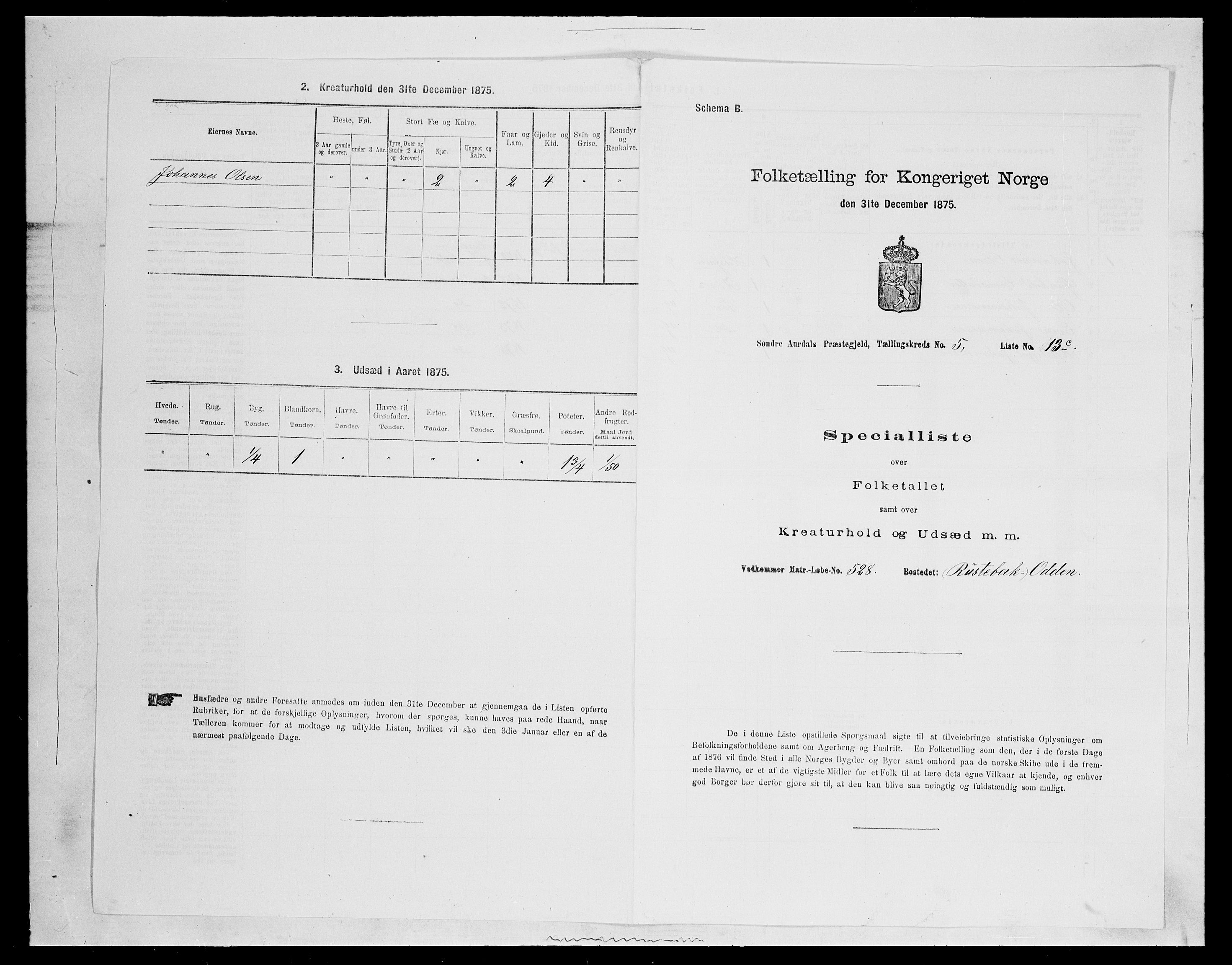 SAH, Folketelling 1875 for 0540P Sør-Aurdal prestegjeld, 1875, s. 971