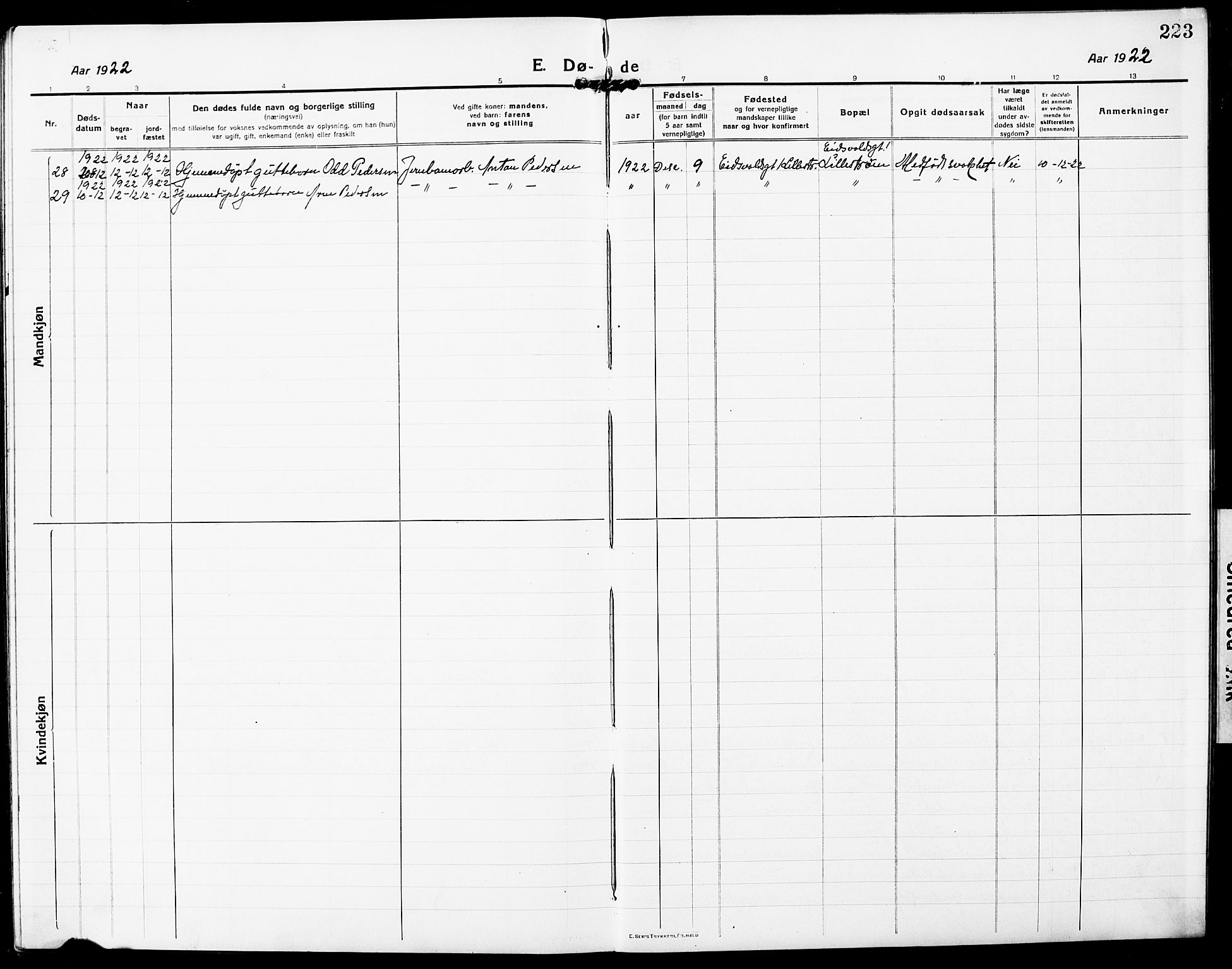 Skedsmo prestekontor Kirkebøker, AV/SAO-A-10033a/G/Gc/L0002: Klokkerbok nr. III 2, 1917-1931, s. 223