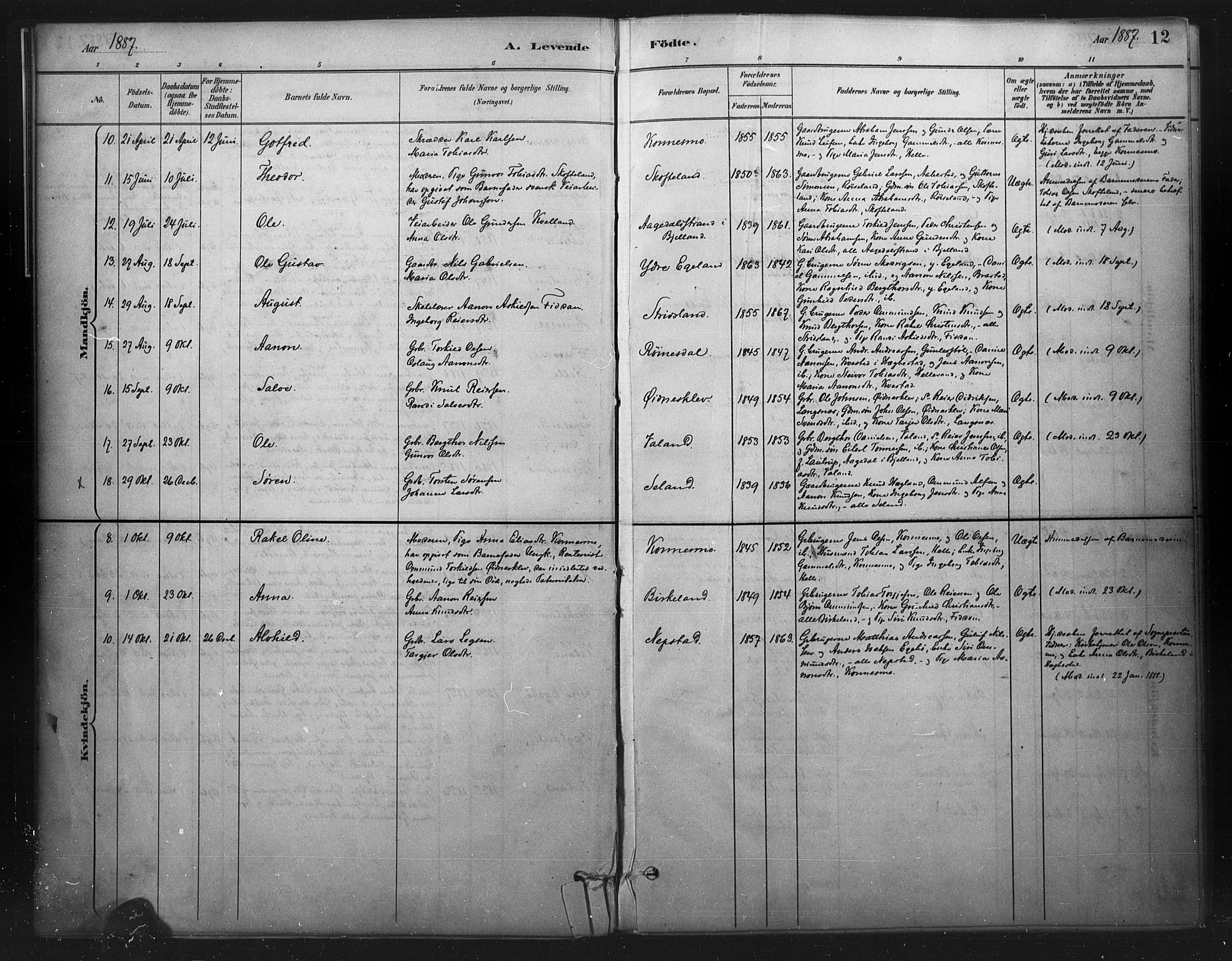 Nord-Audnedal sokneprestkontor, AV/SAK-1111-0032/F/Fa/Faa/L0003: Ministerialbok nr. A 3, 1882-1900, s. 12