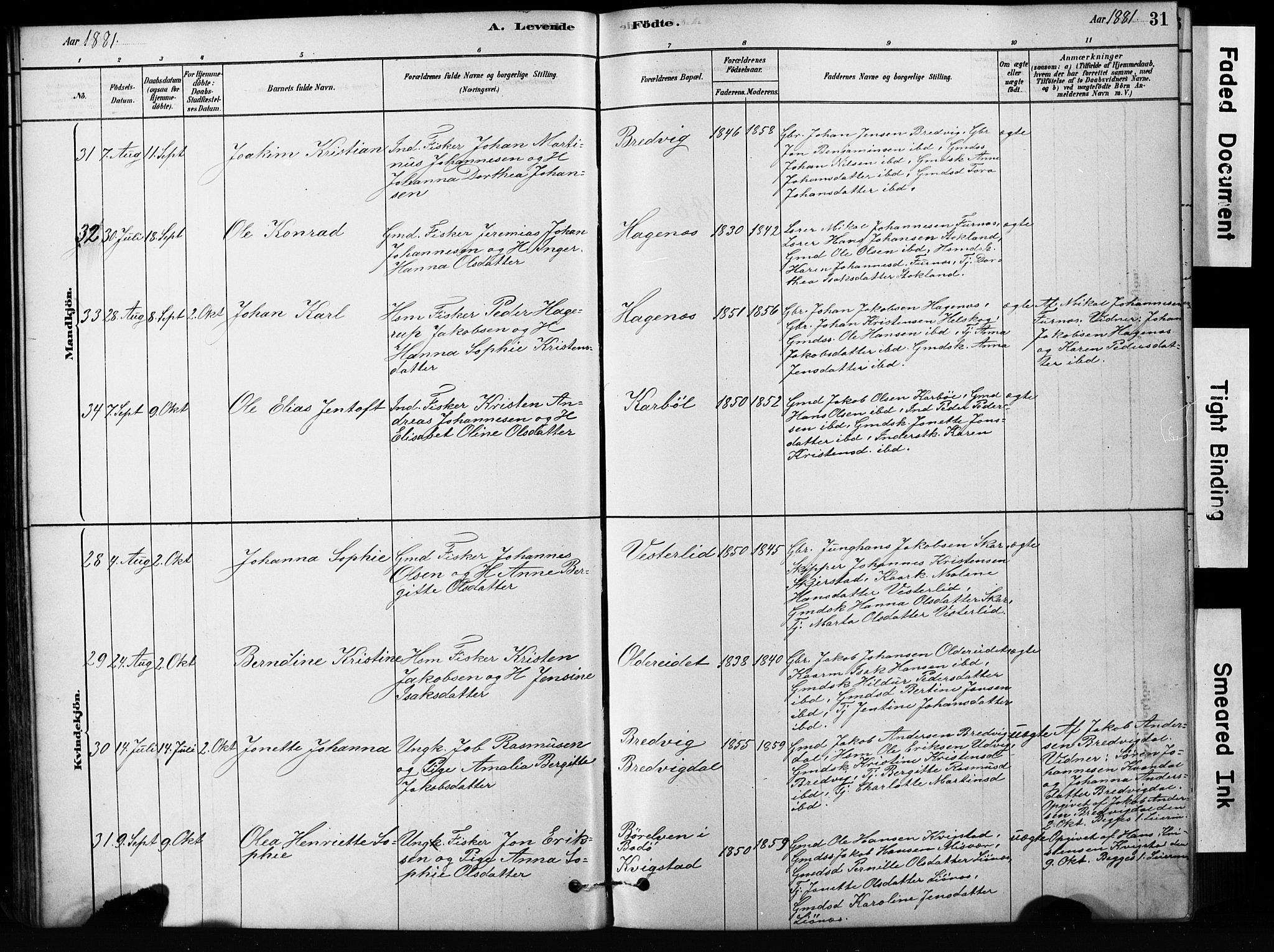 Ministerialprotokoller, klokkerbøker og fødselsregistre - Nordland, AV/SAT-A-1459/852/L0754: Klokkerbok nr. 852C05, 1878-1894, s. 31